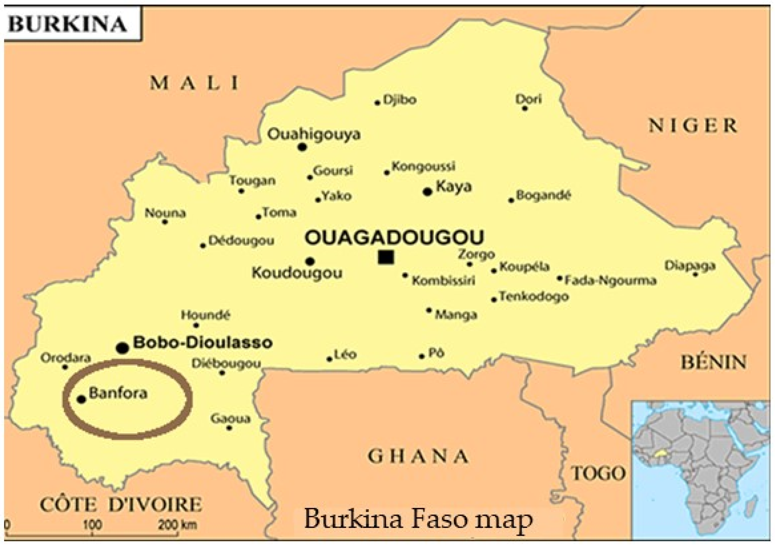 Pathogens 13 00883 g001