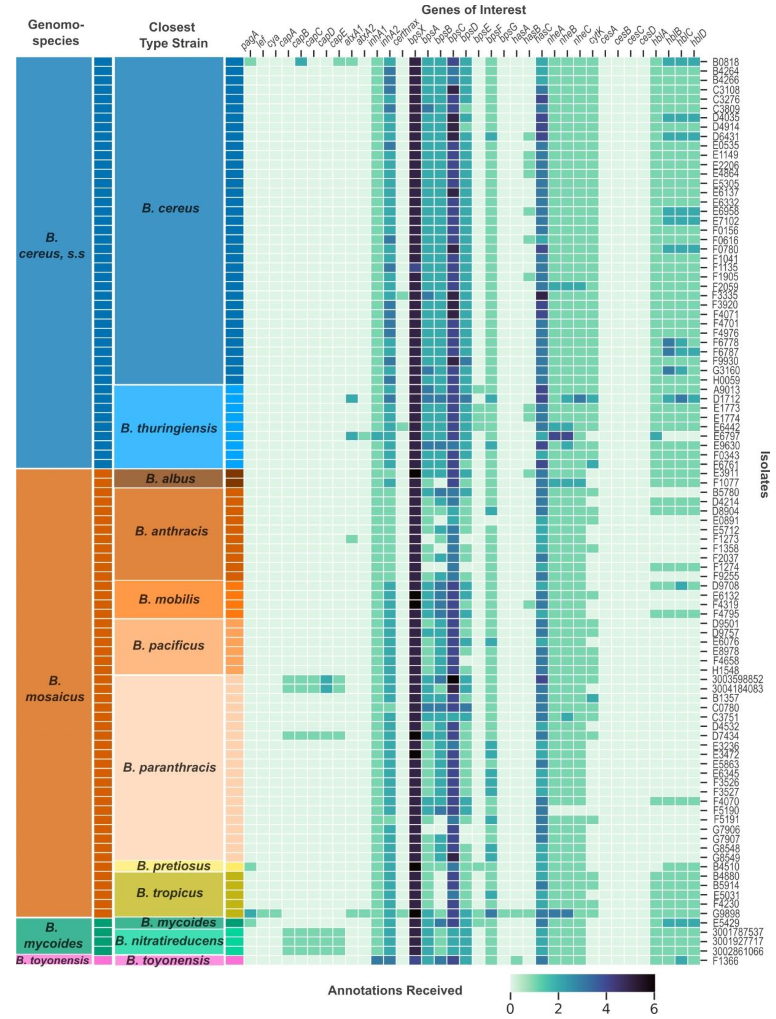Pathogens 13 00884 g001