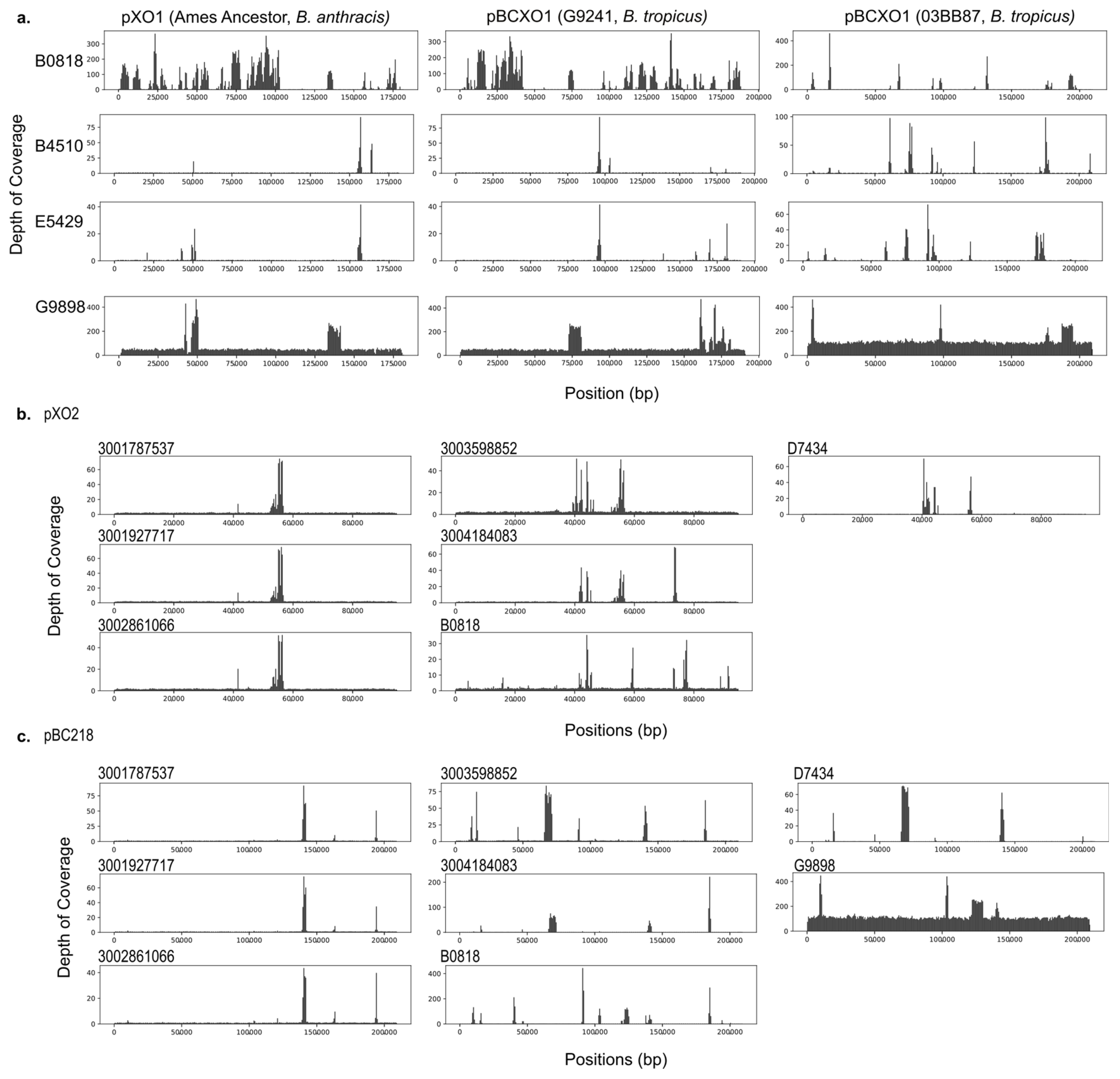 Pathogens 13 00884 g003