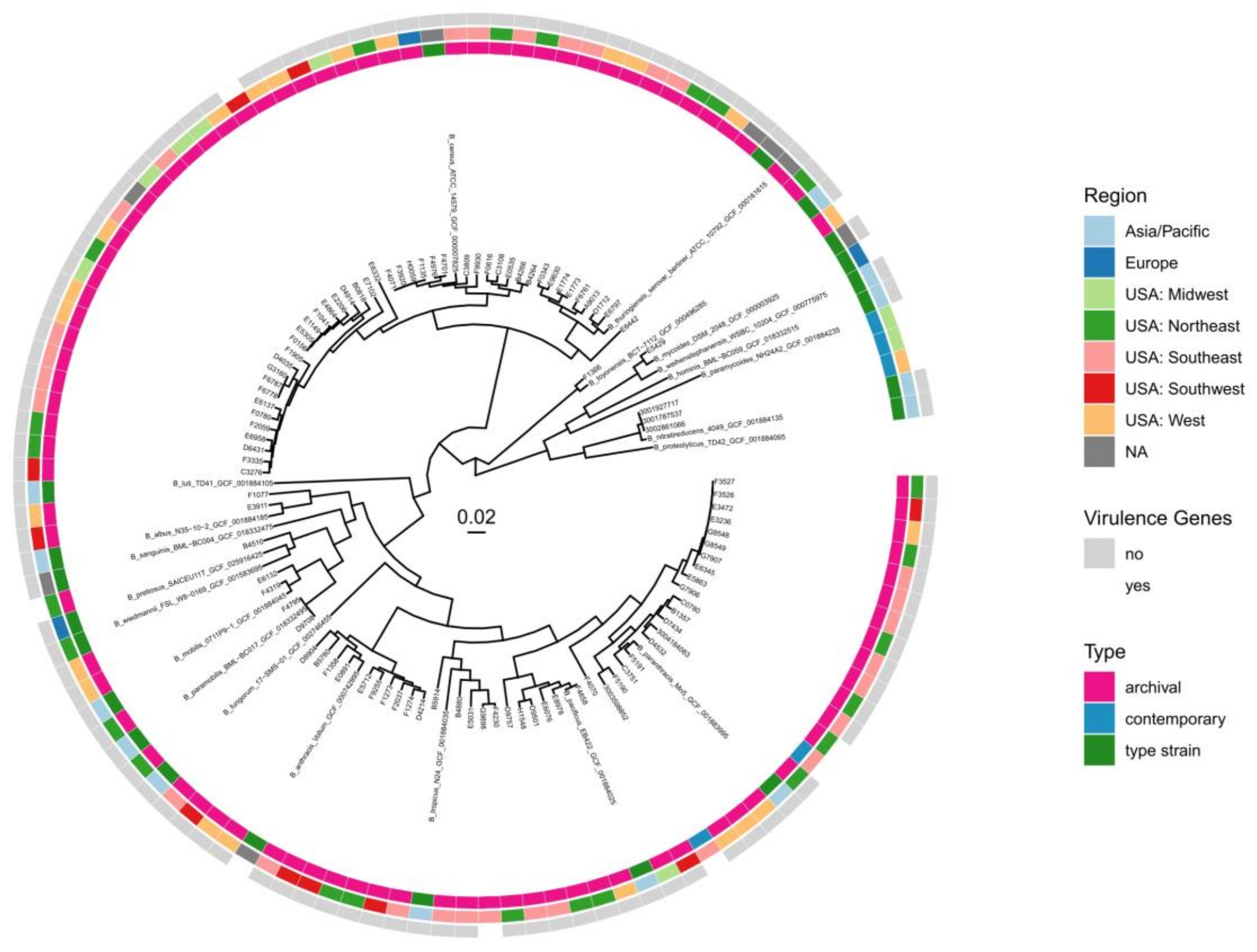 Pathogens 13 00884 g004