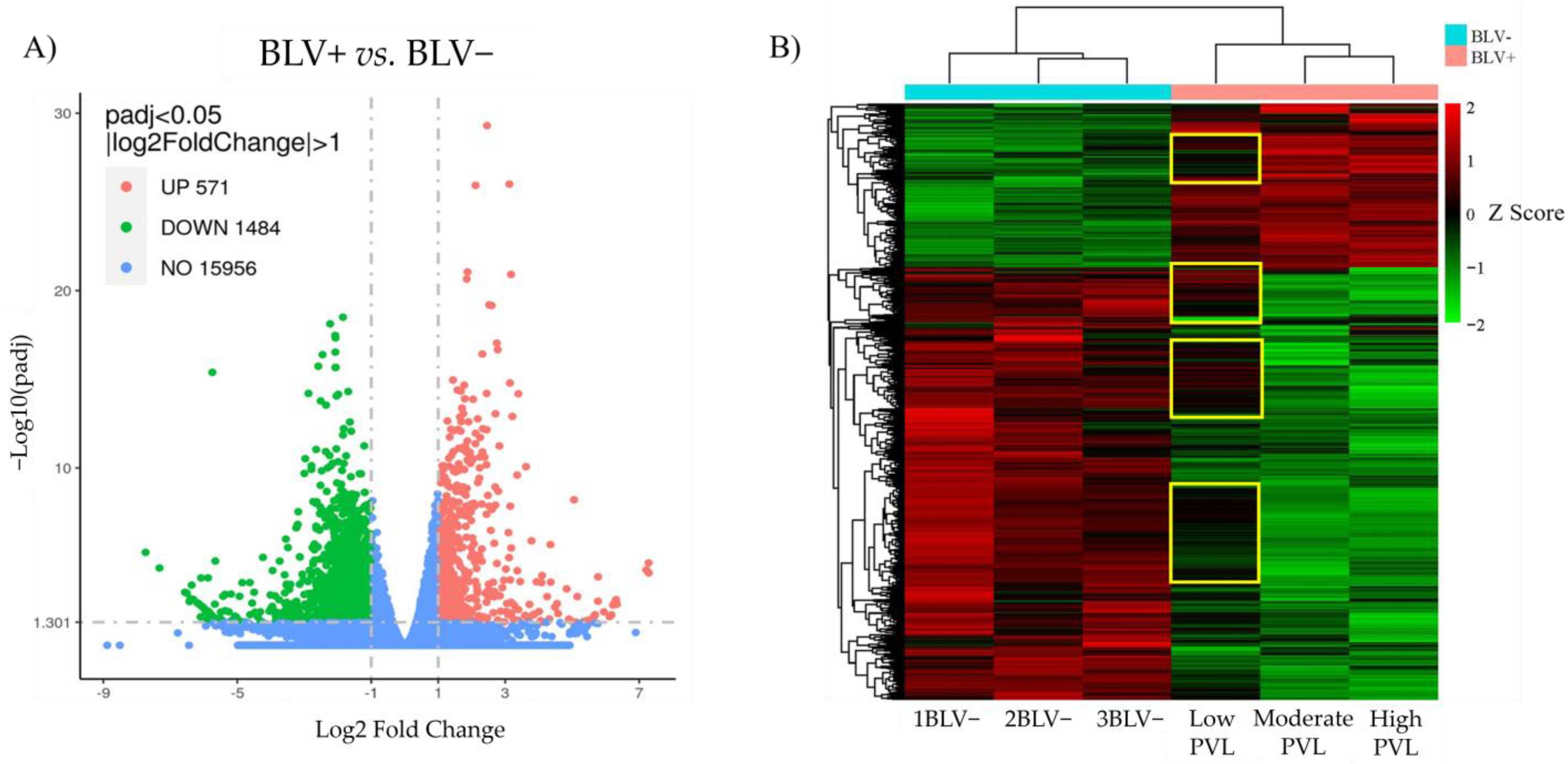 Pathogens 13 00885 g001