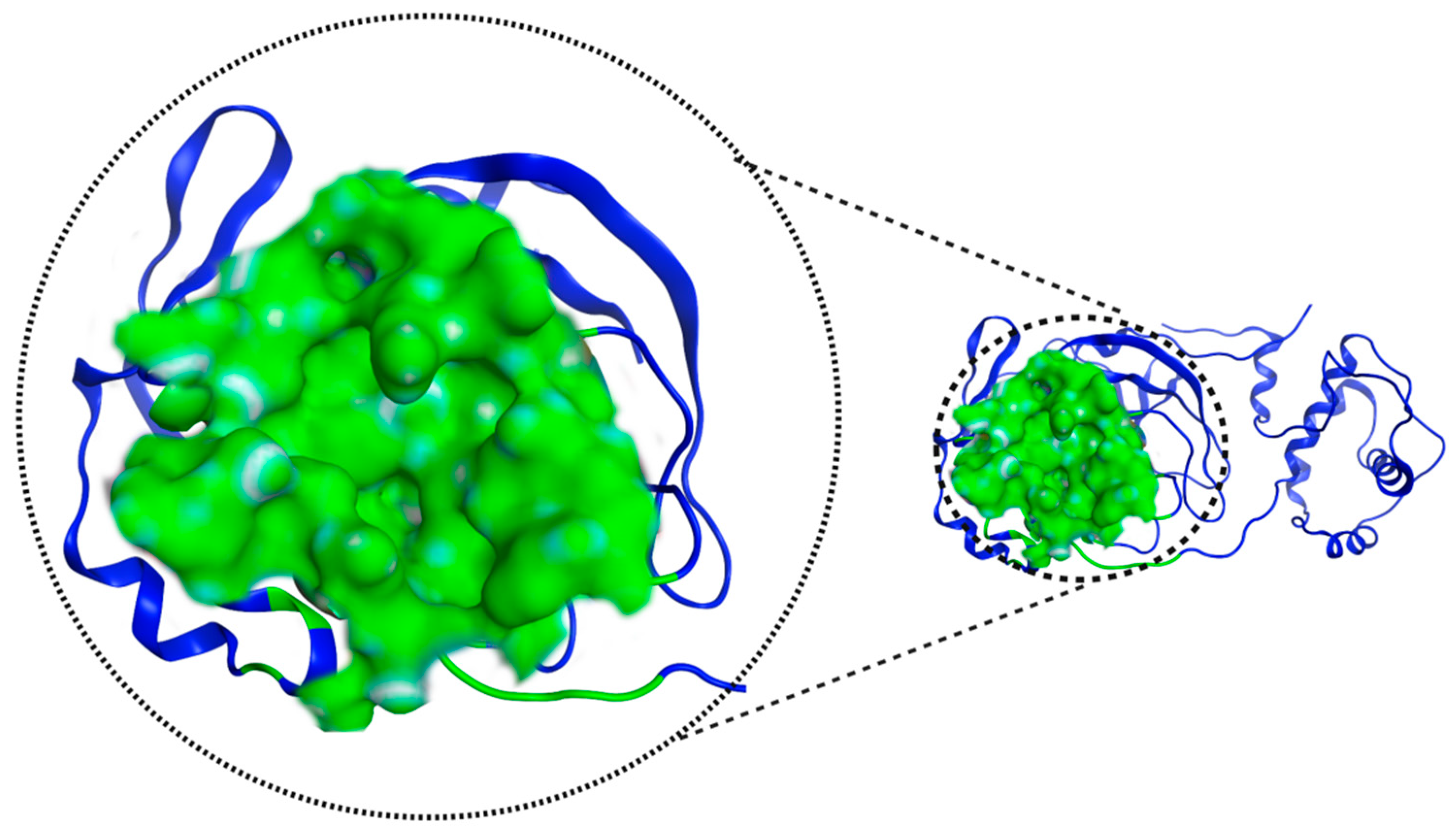 Pathogens 13 00887 g004