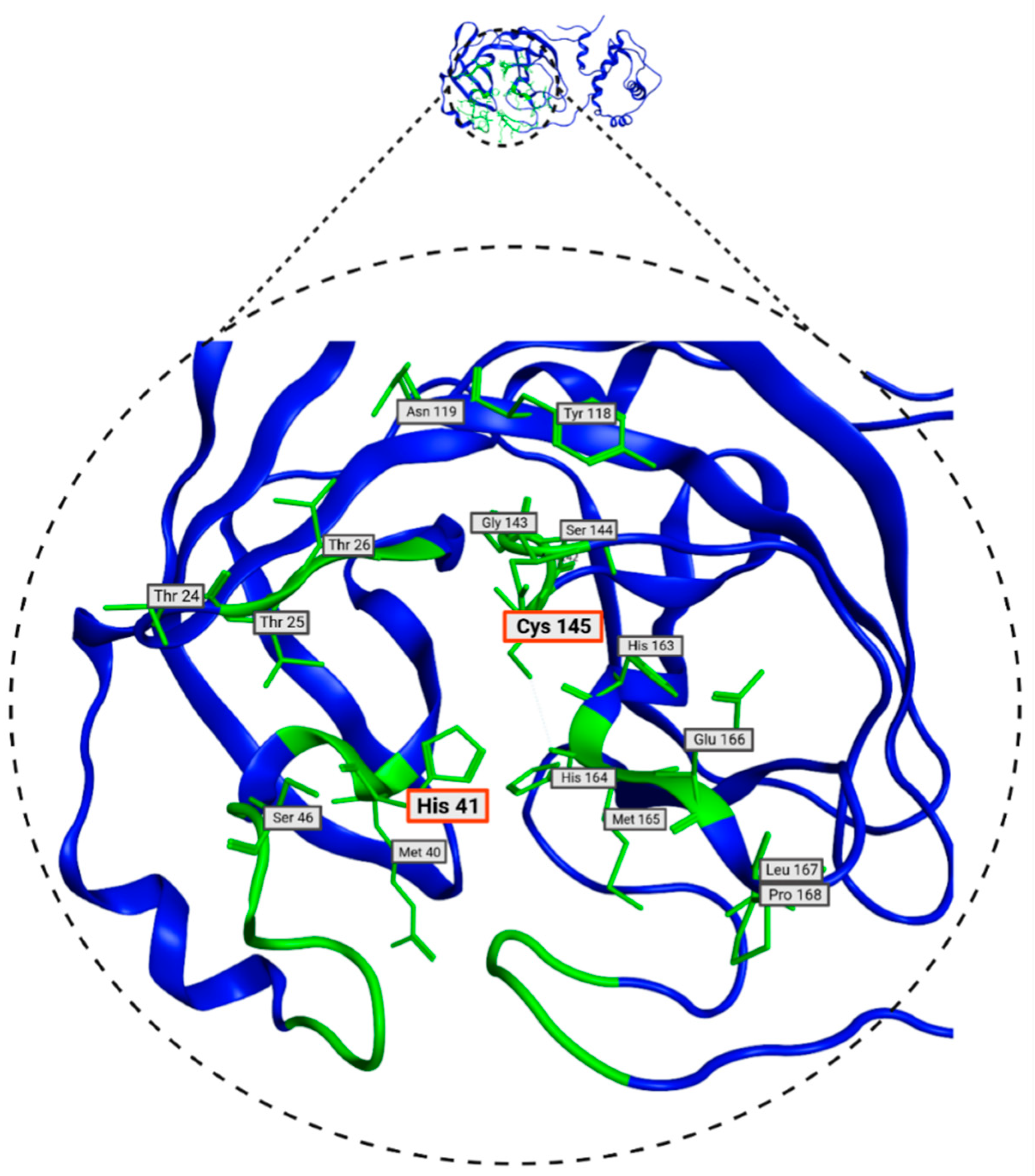 Pathogens 13 00887 g005