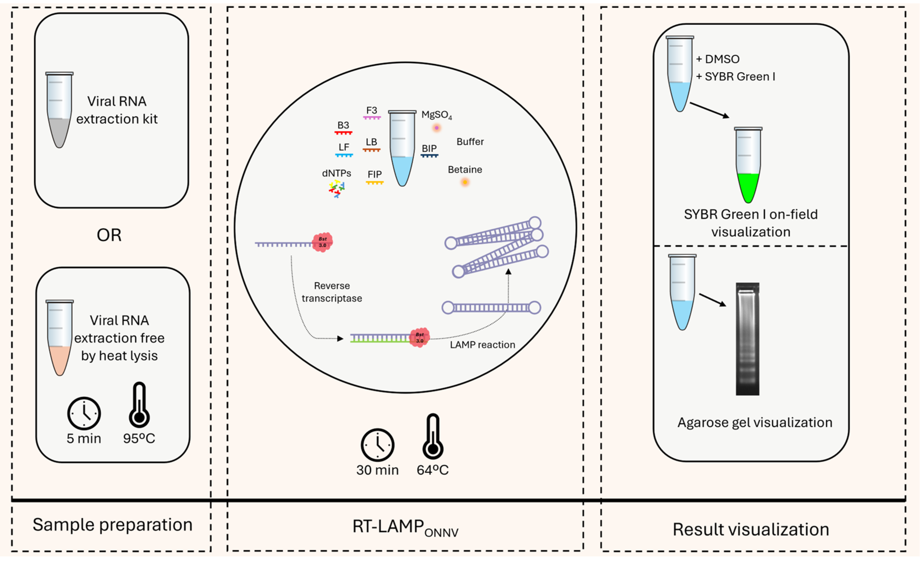 Pathogens 13 00892 g004