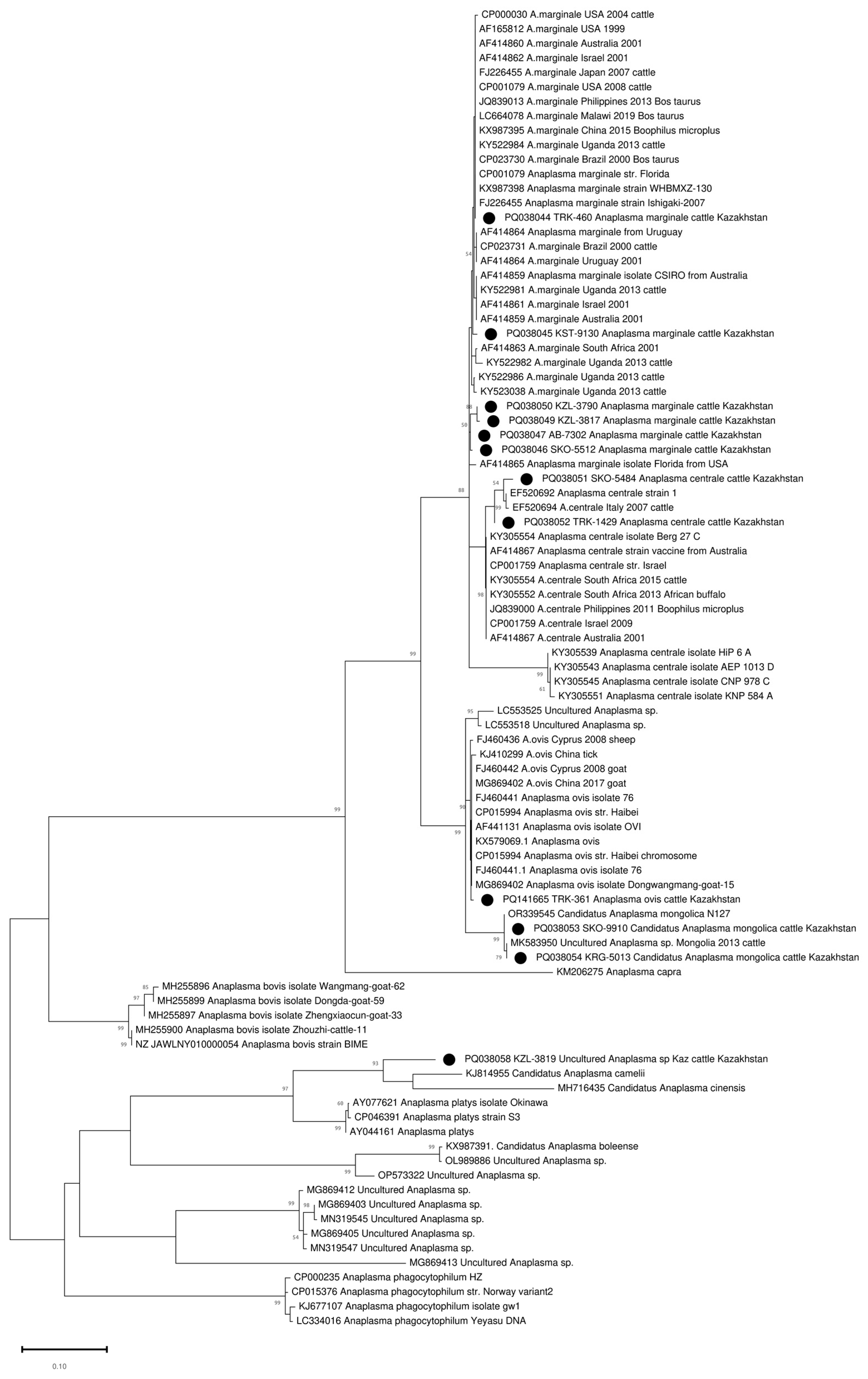 Pathogens 13 00894 g002