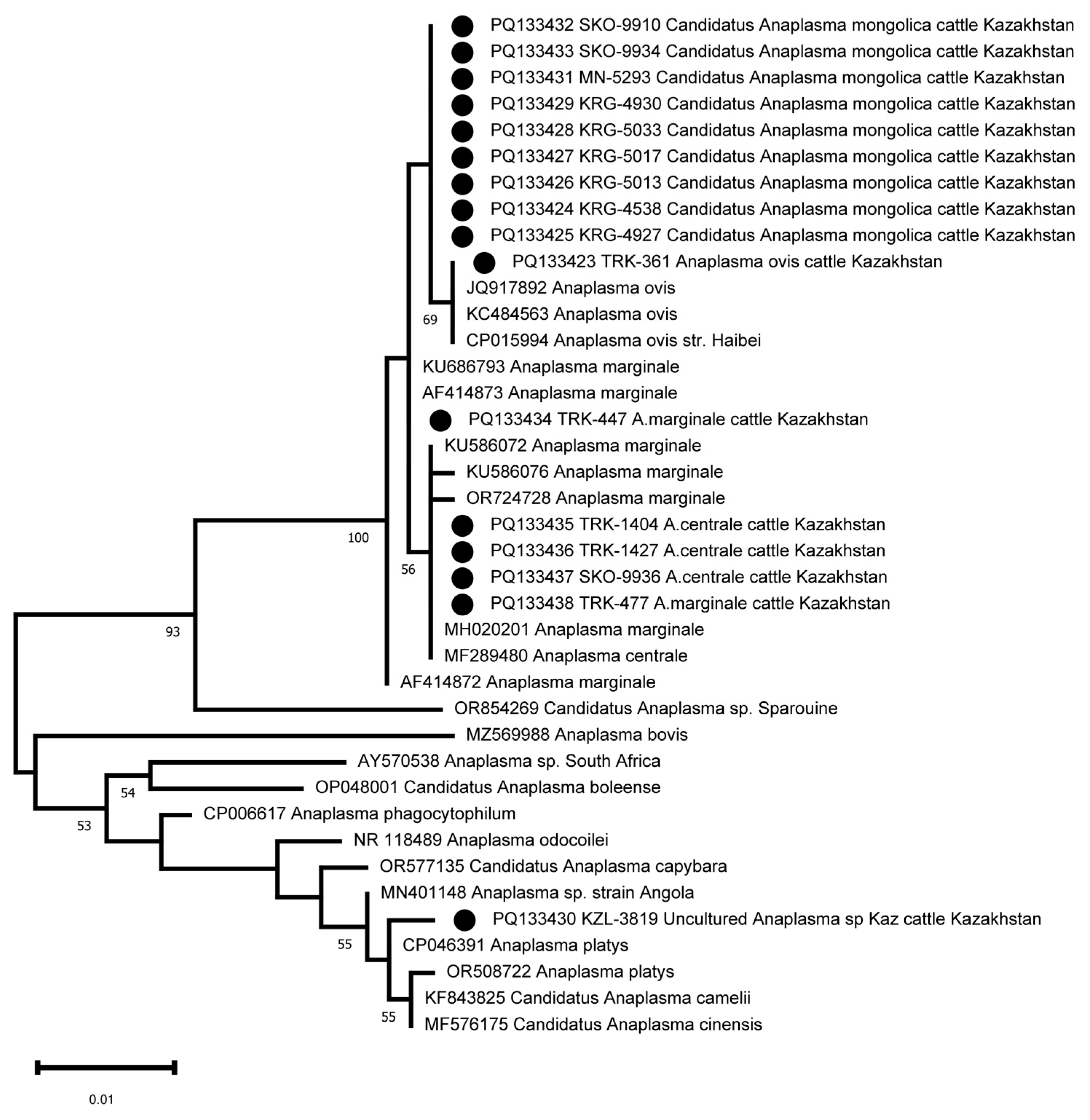 Pathogens 13 00894 g004