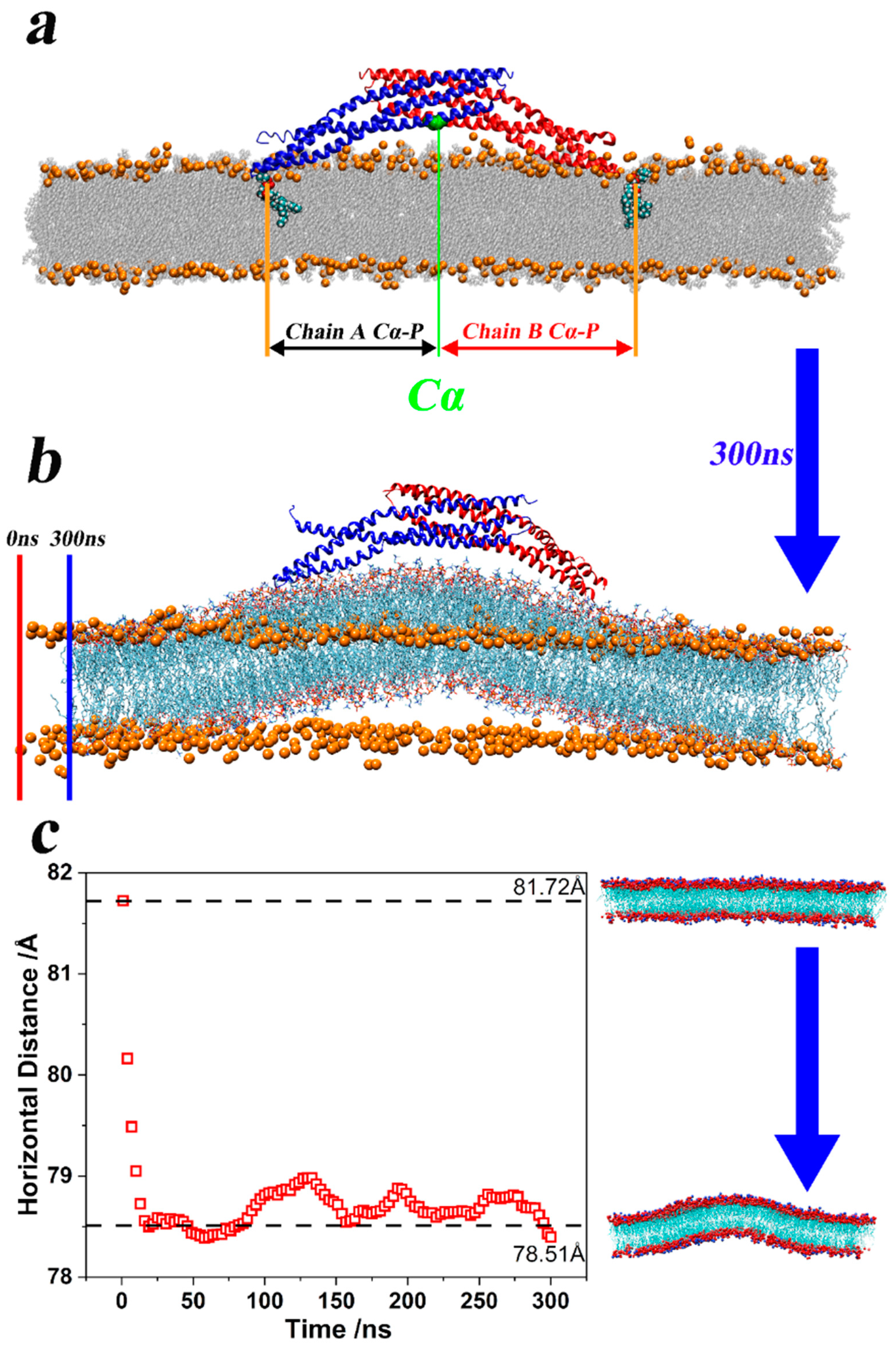 Pathogens 13 00902 g005