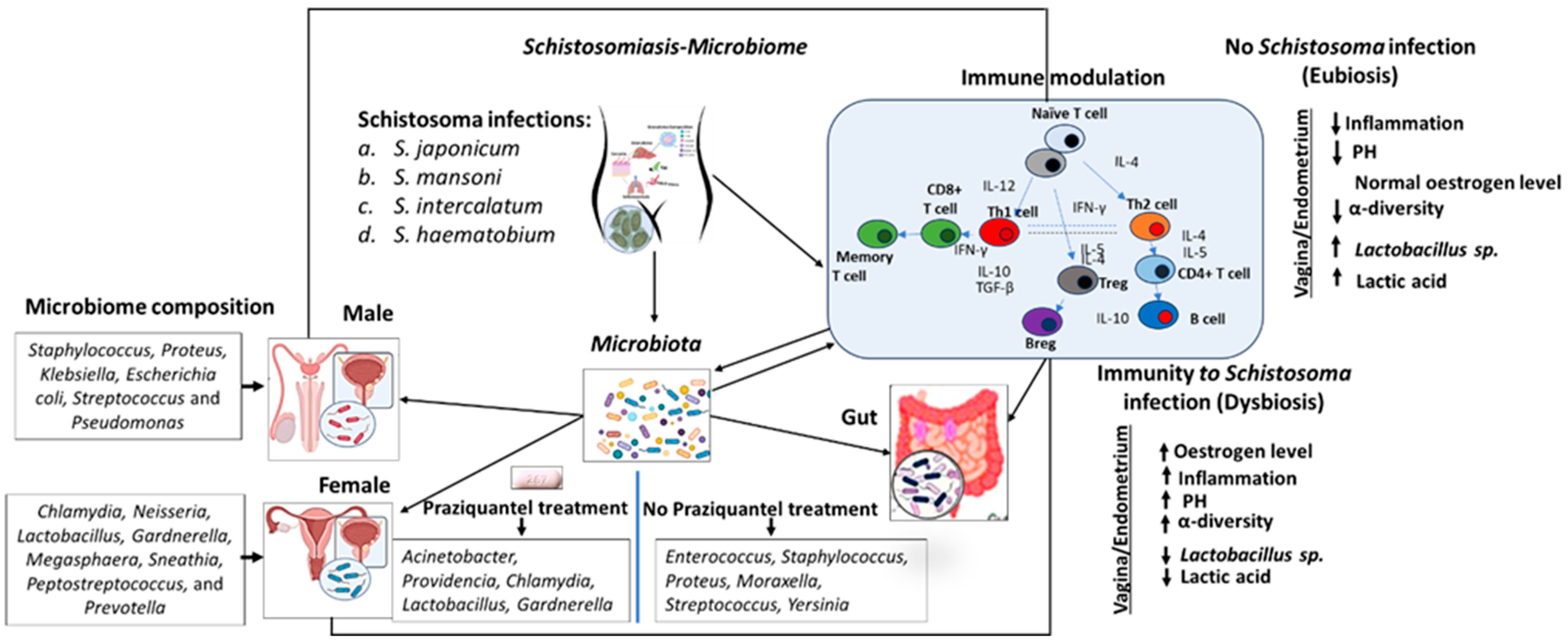 Pathogens 13 00906 g013 Pathogens 13 00906 g013