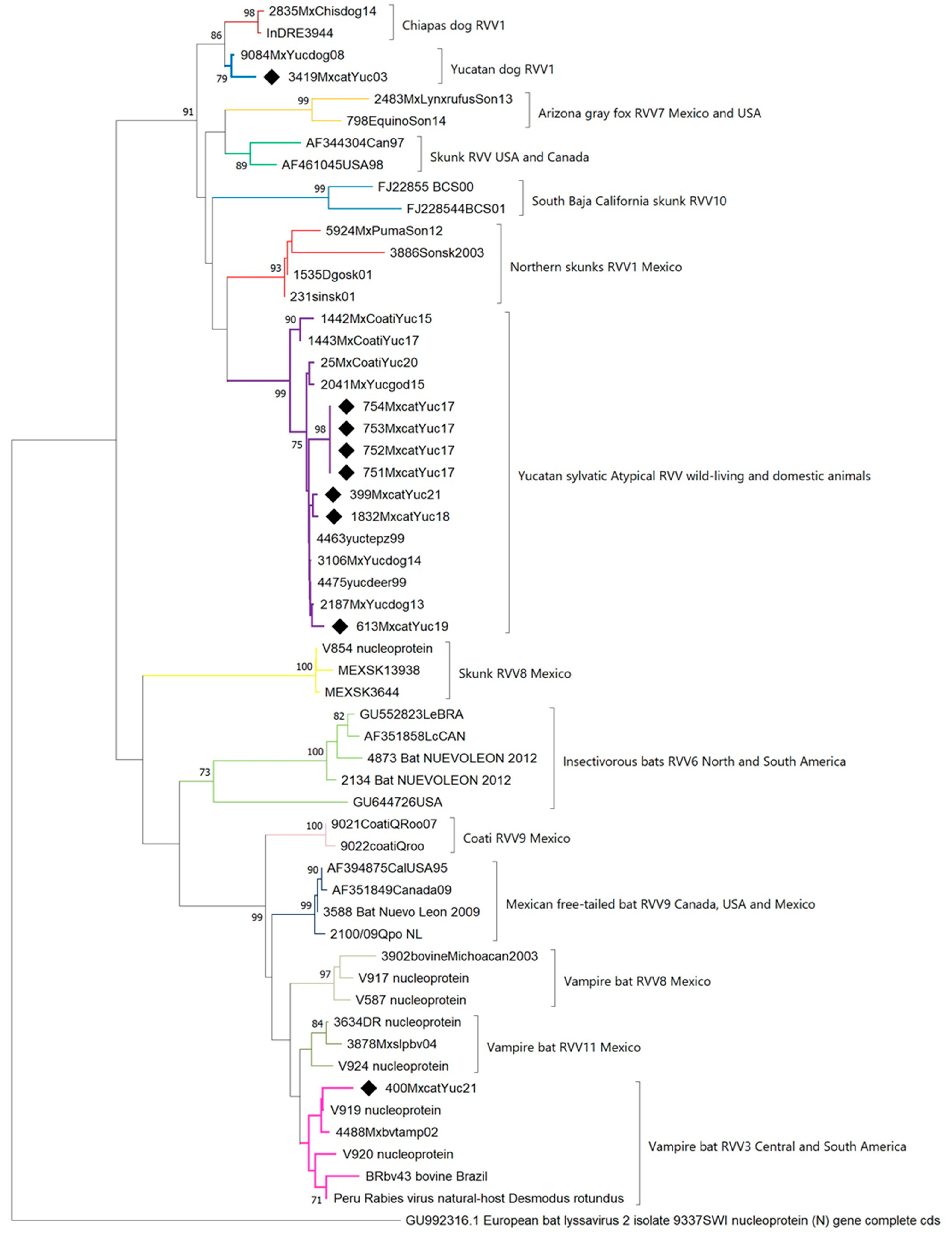 Pathogens 13 00907 g002