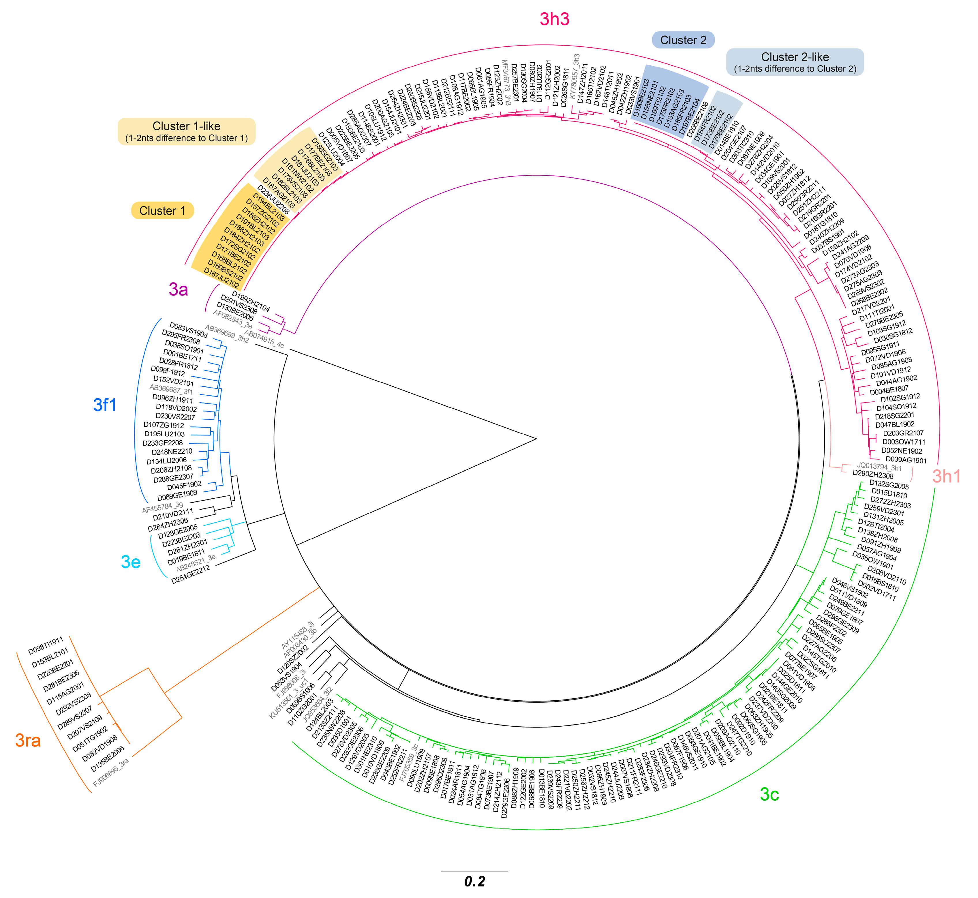 Pathogens 13 00911 g002