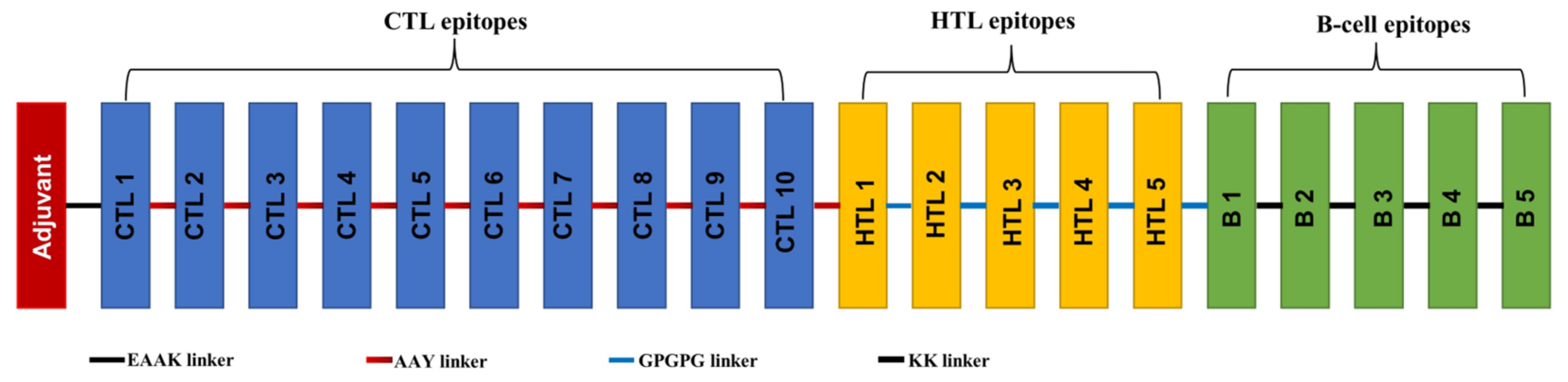 Pathogens 13 00916 g002
