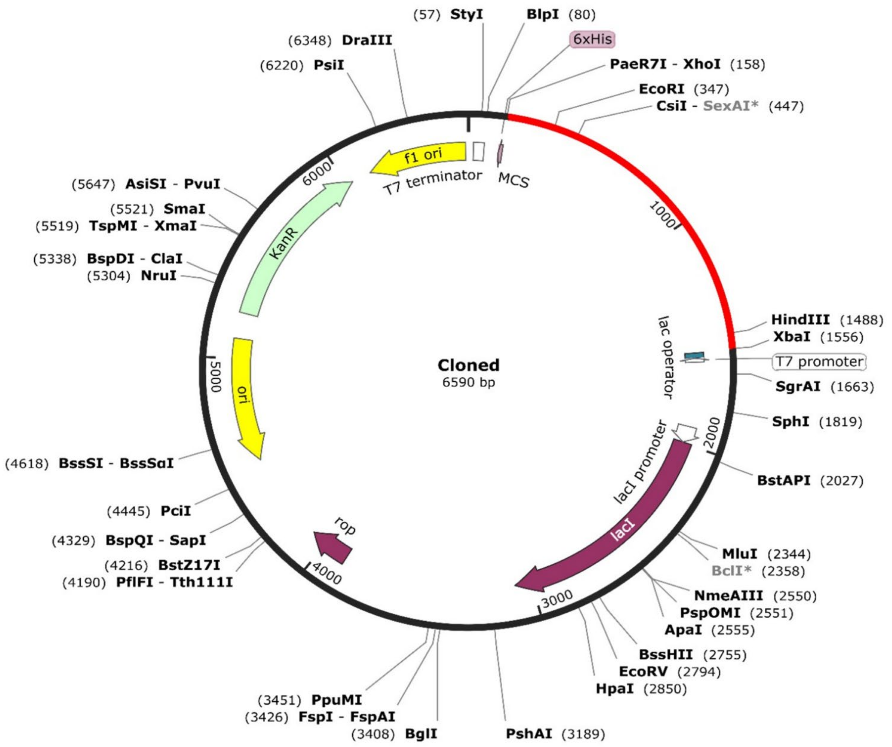 Pathogens 13 00916 g010