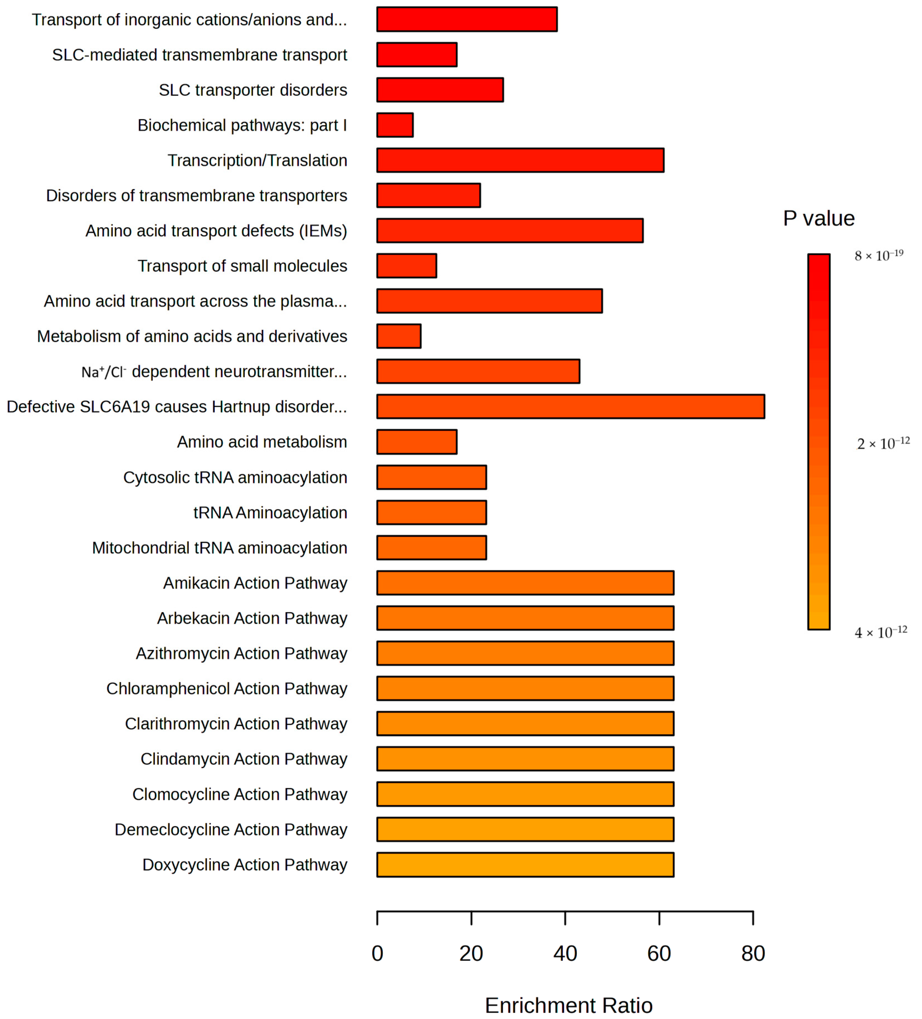 Pathogens 13 00922 g009