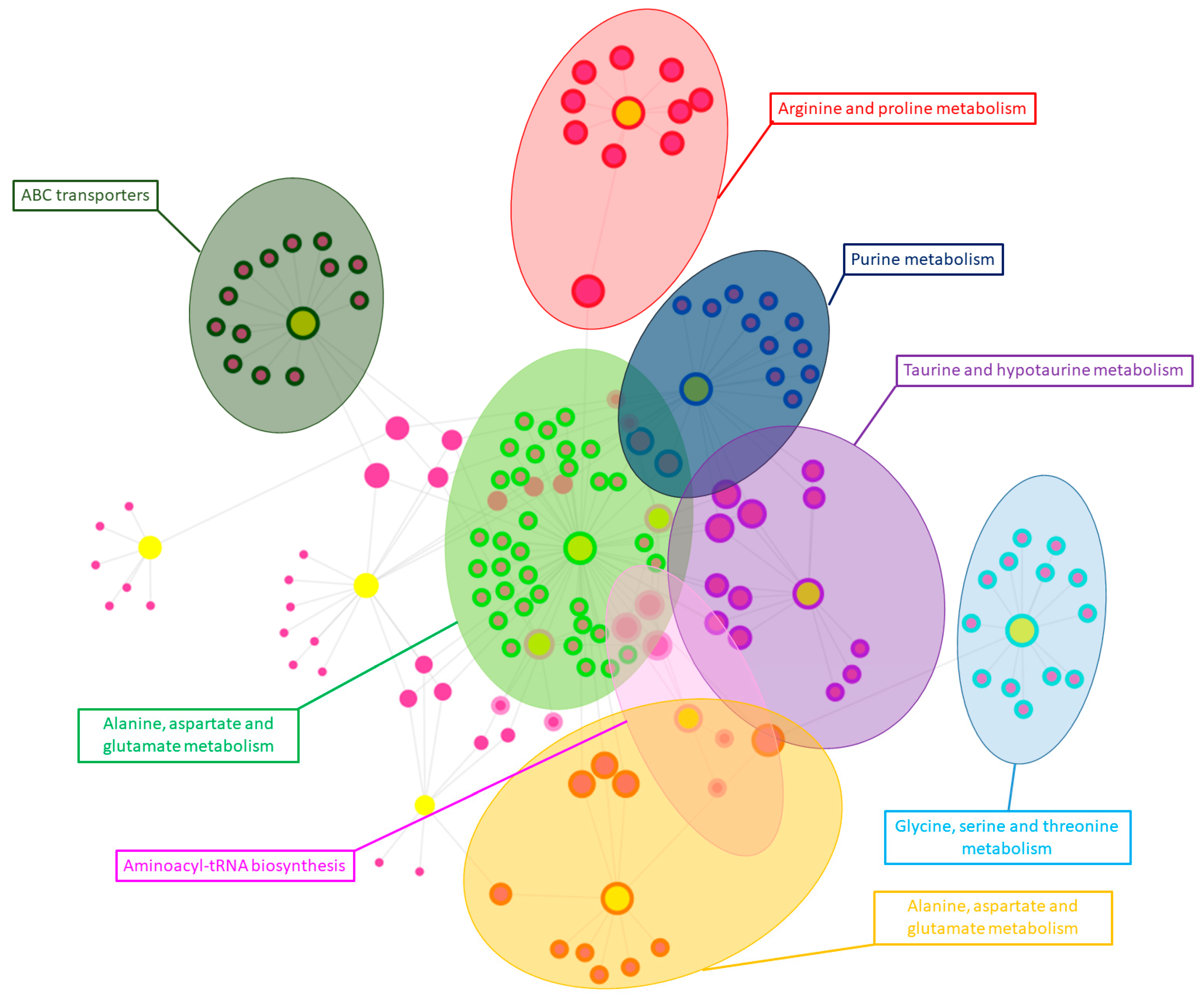 Pathogens 13 00922 g010