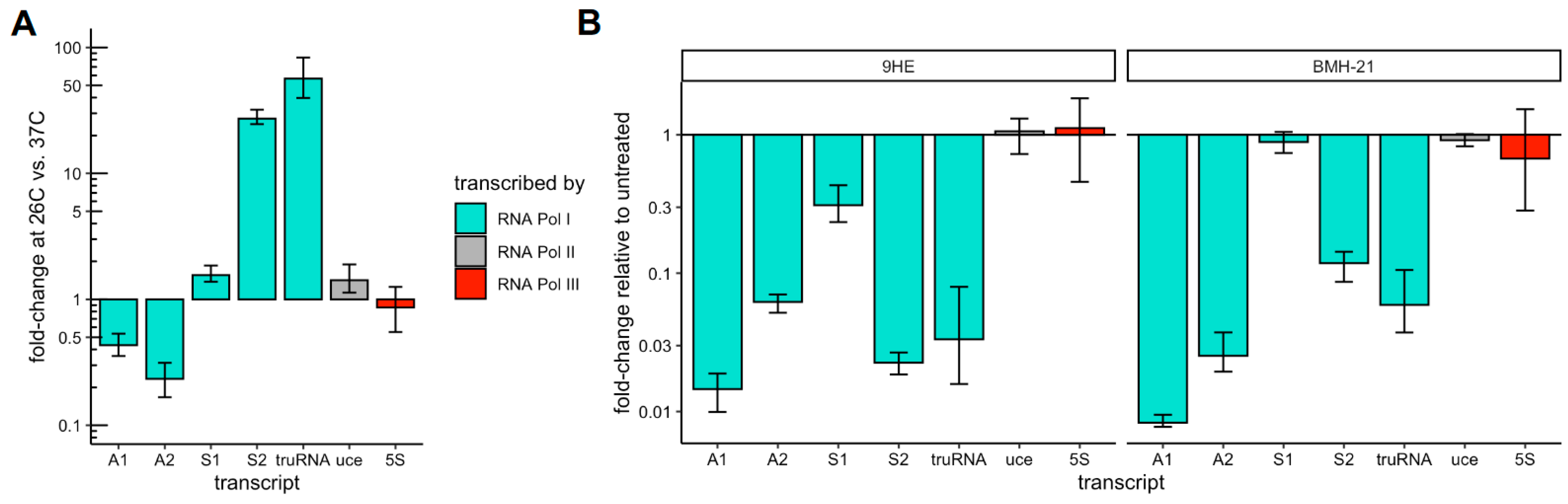 Pathogens 13 00924 g002