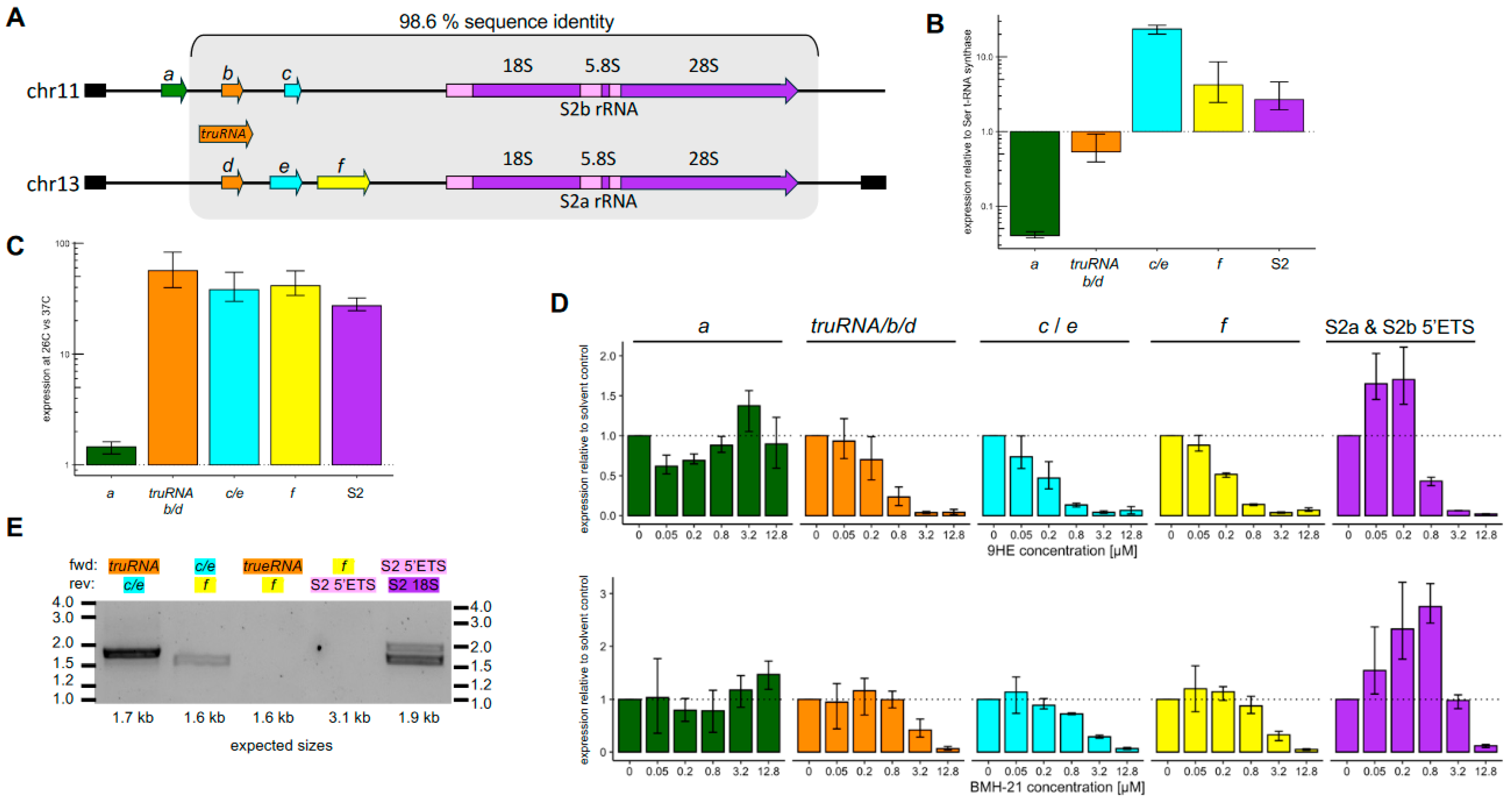 Pathogens 13 00924 g004