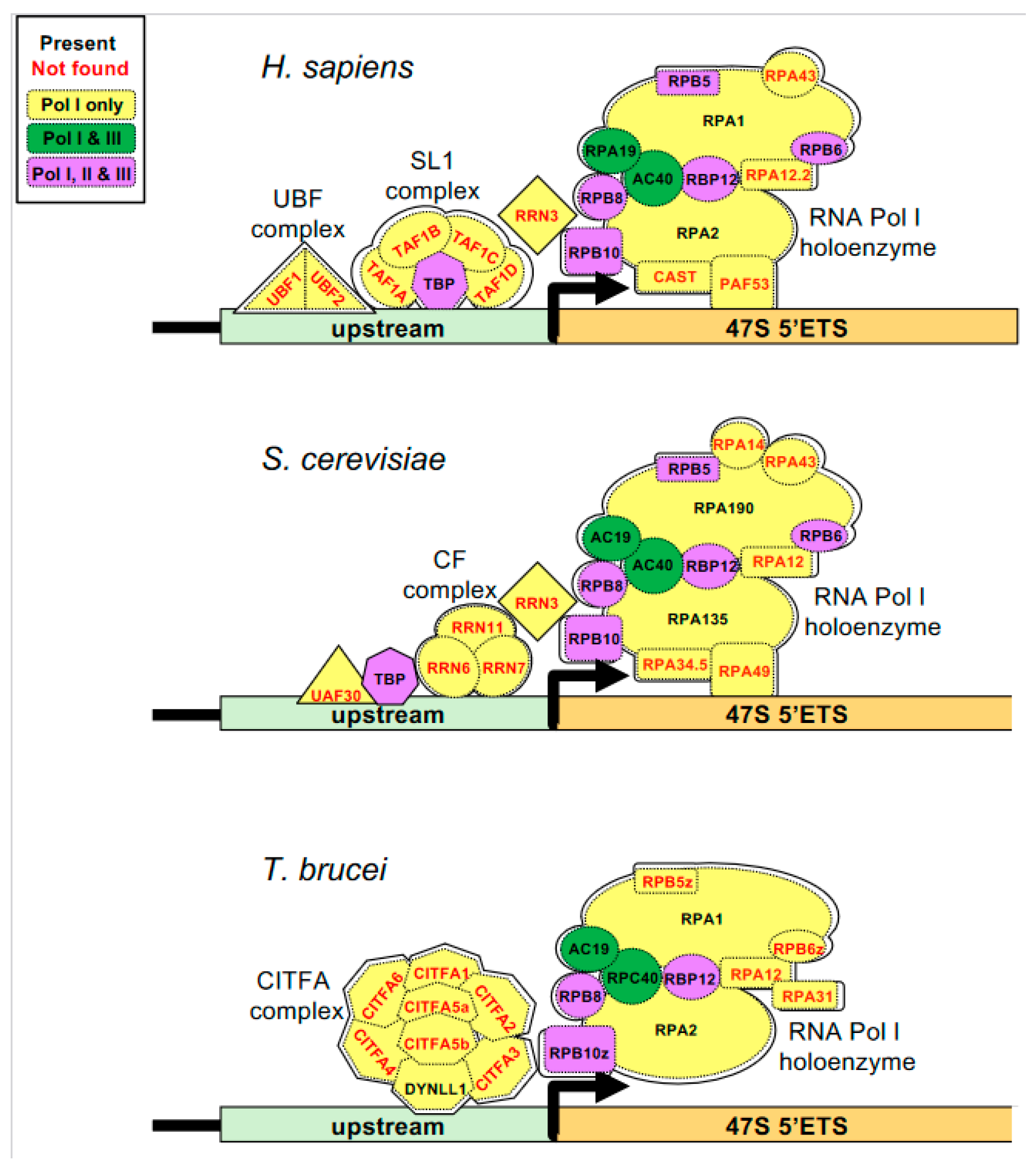 Pathogens 13 00924 g005