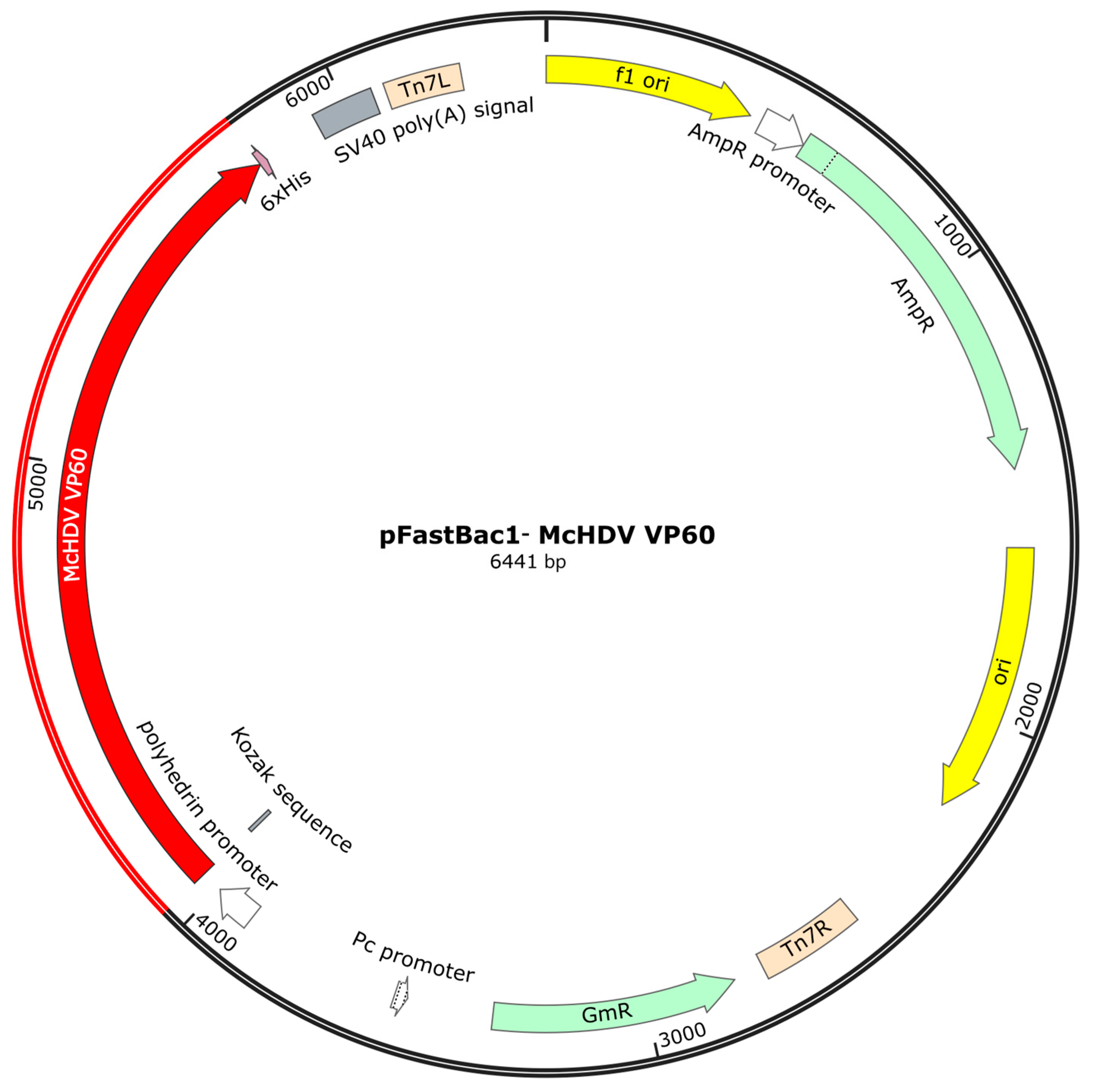Pathogens 13 00925 g003