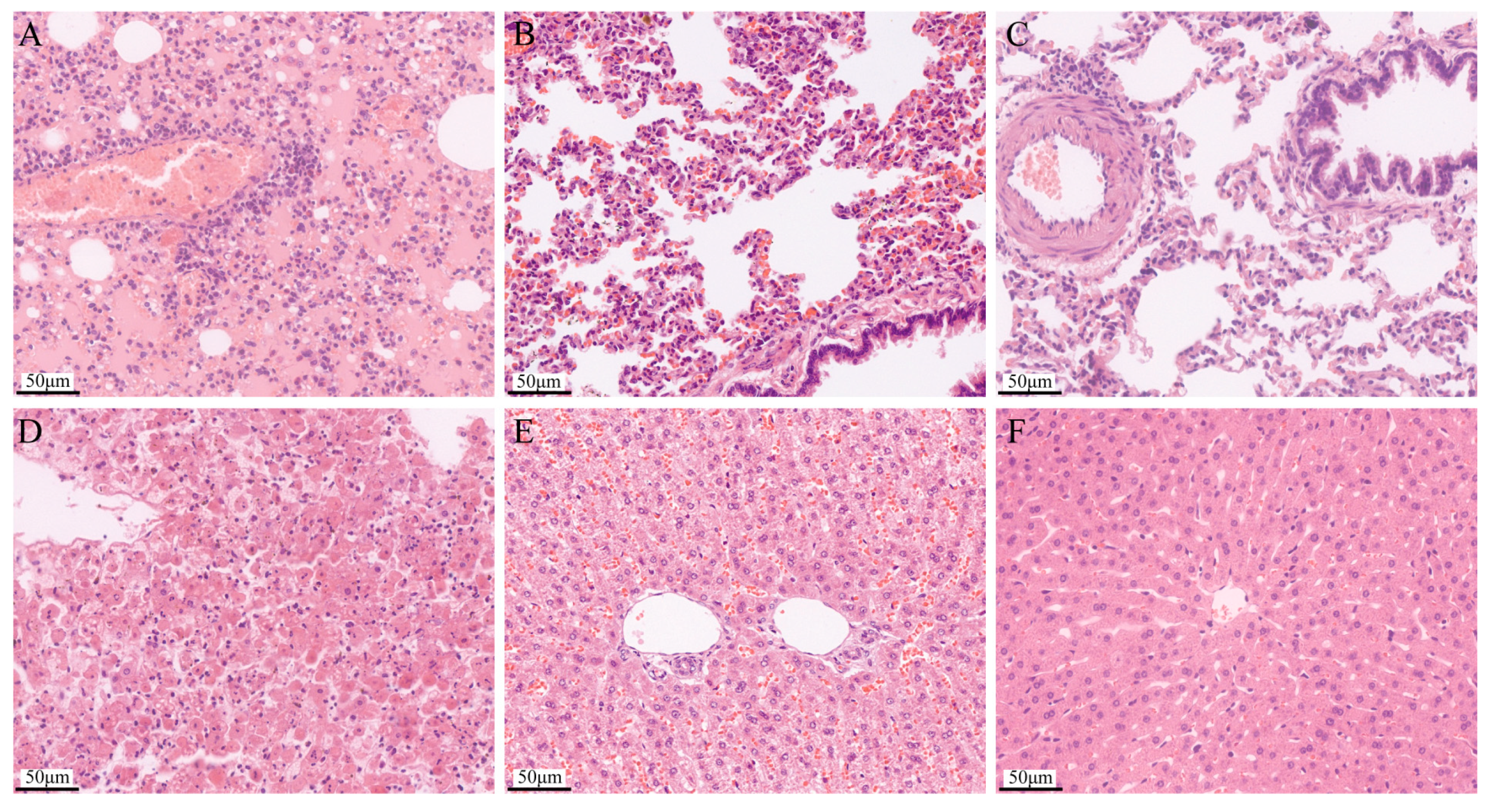 Pathogens 13 00925 g010