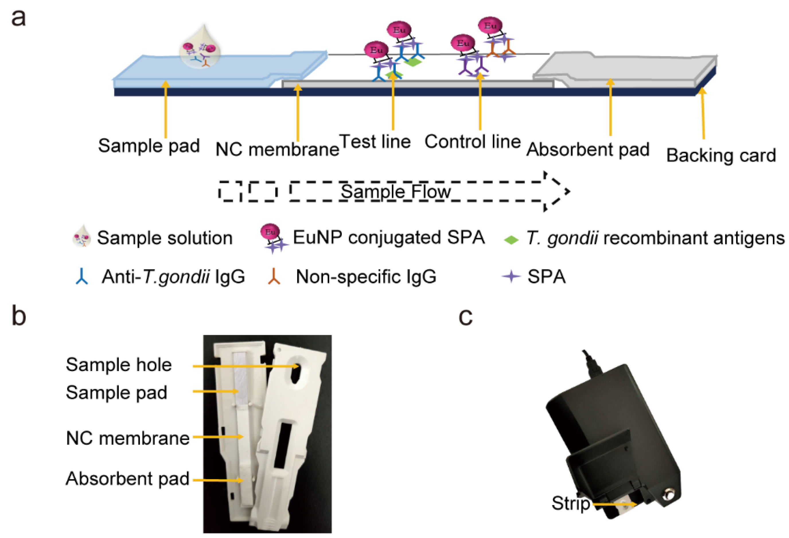 Pathogens 13 00931 g001