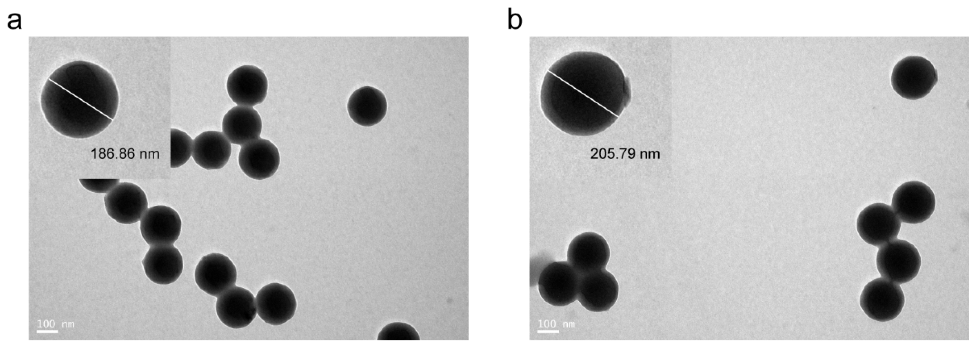 Pathogens 13 00931 g003