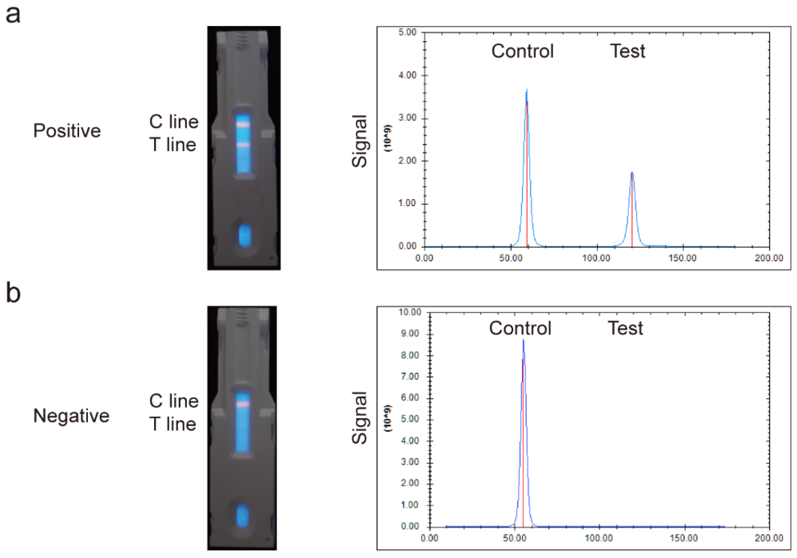 Pathogens 13 00931 g004