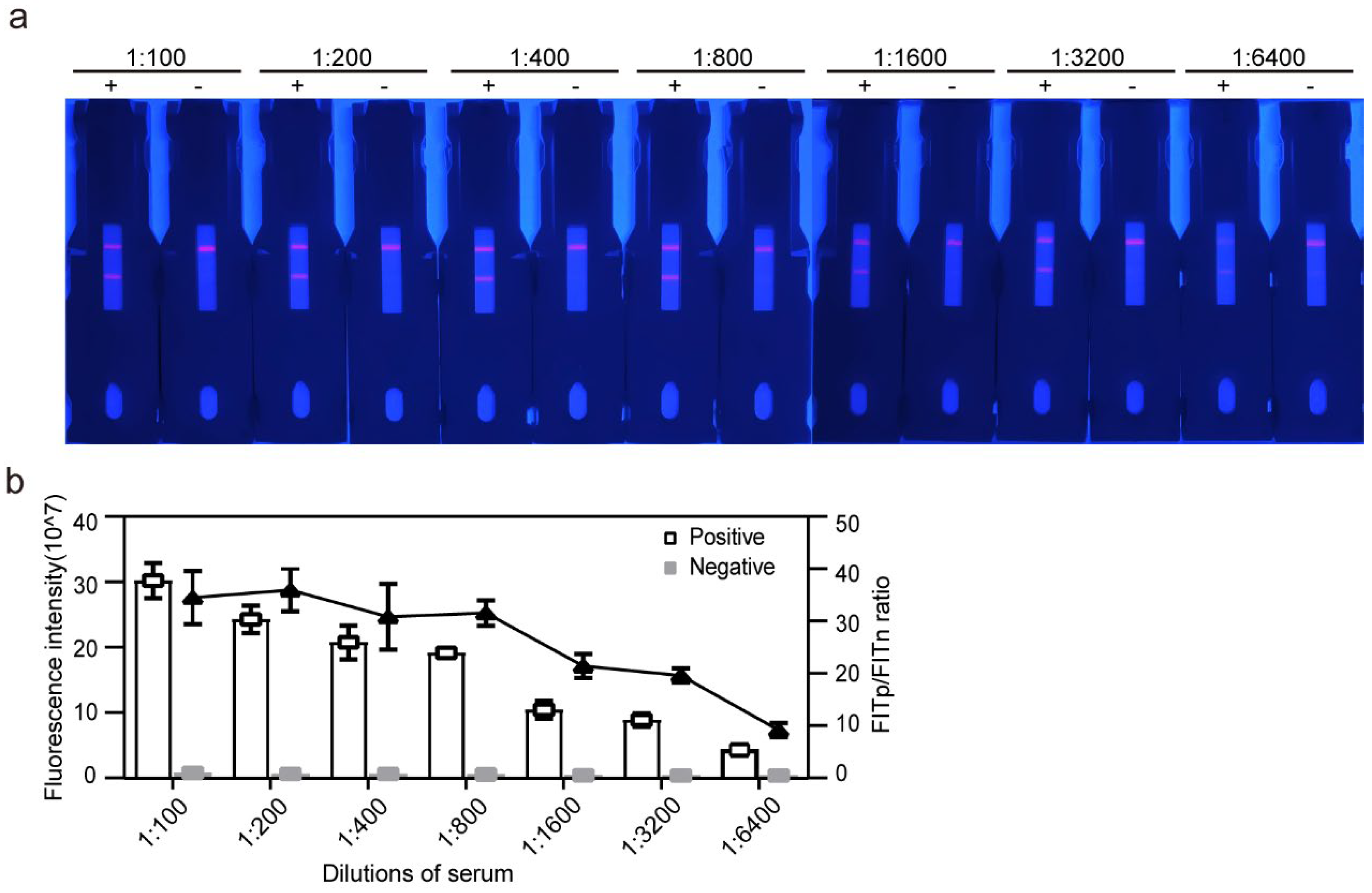 Pathogens 13 00931 g007