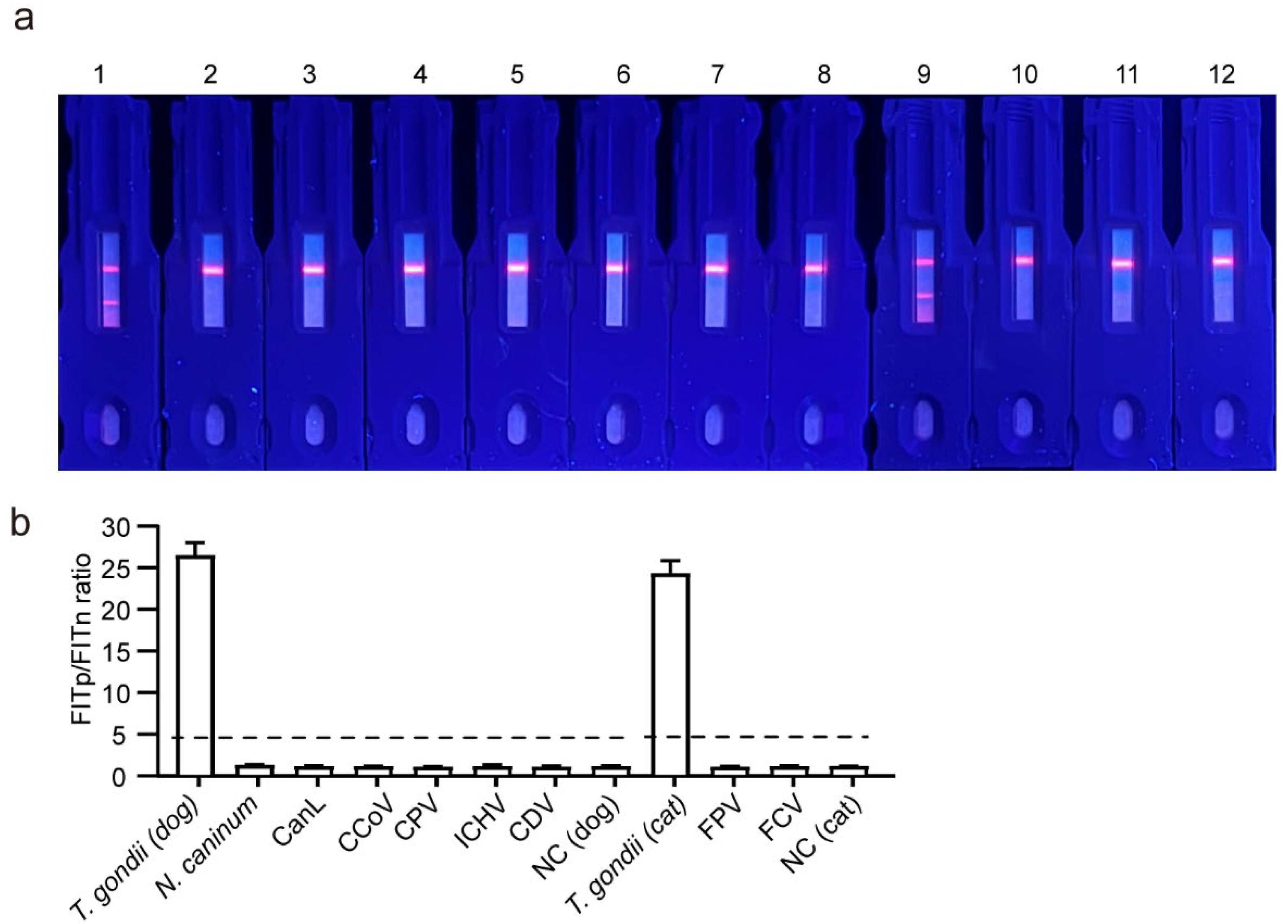 Pathogens 13 00931 g008