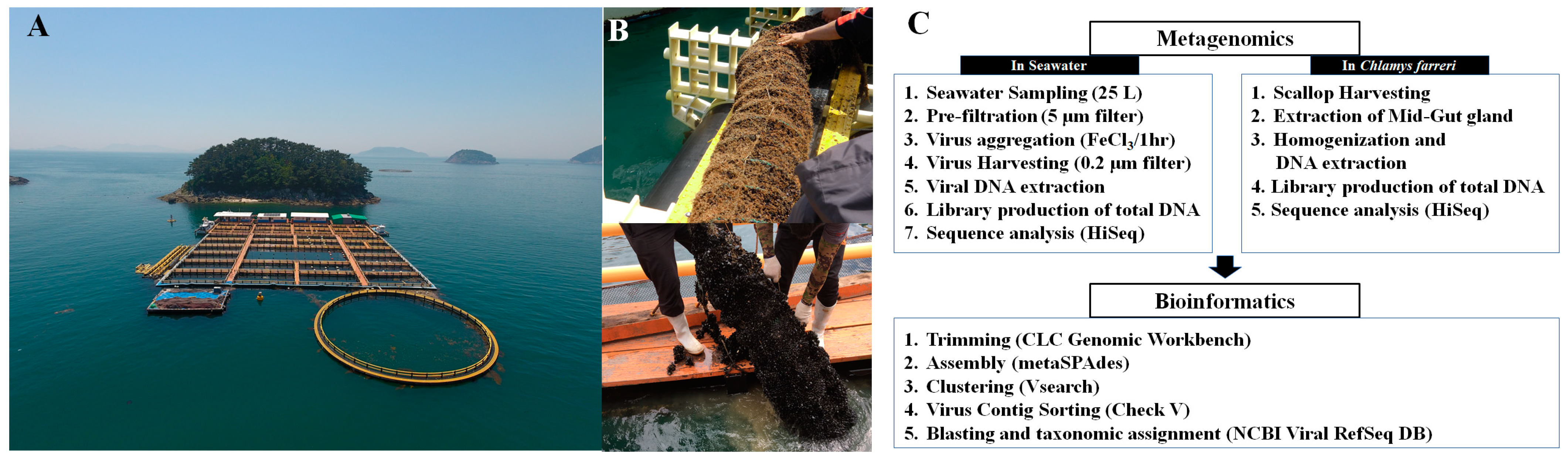Pathogens 13 00935 g001