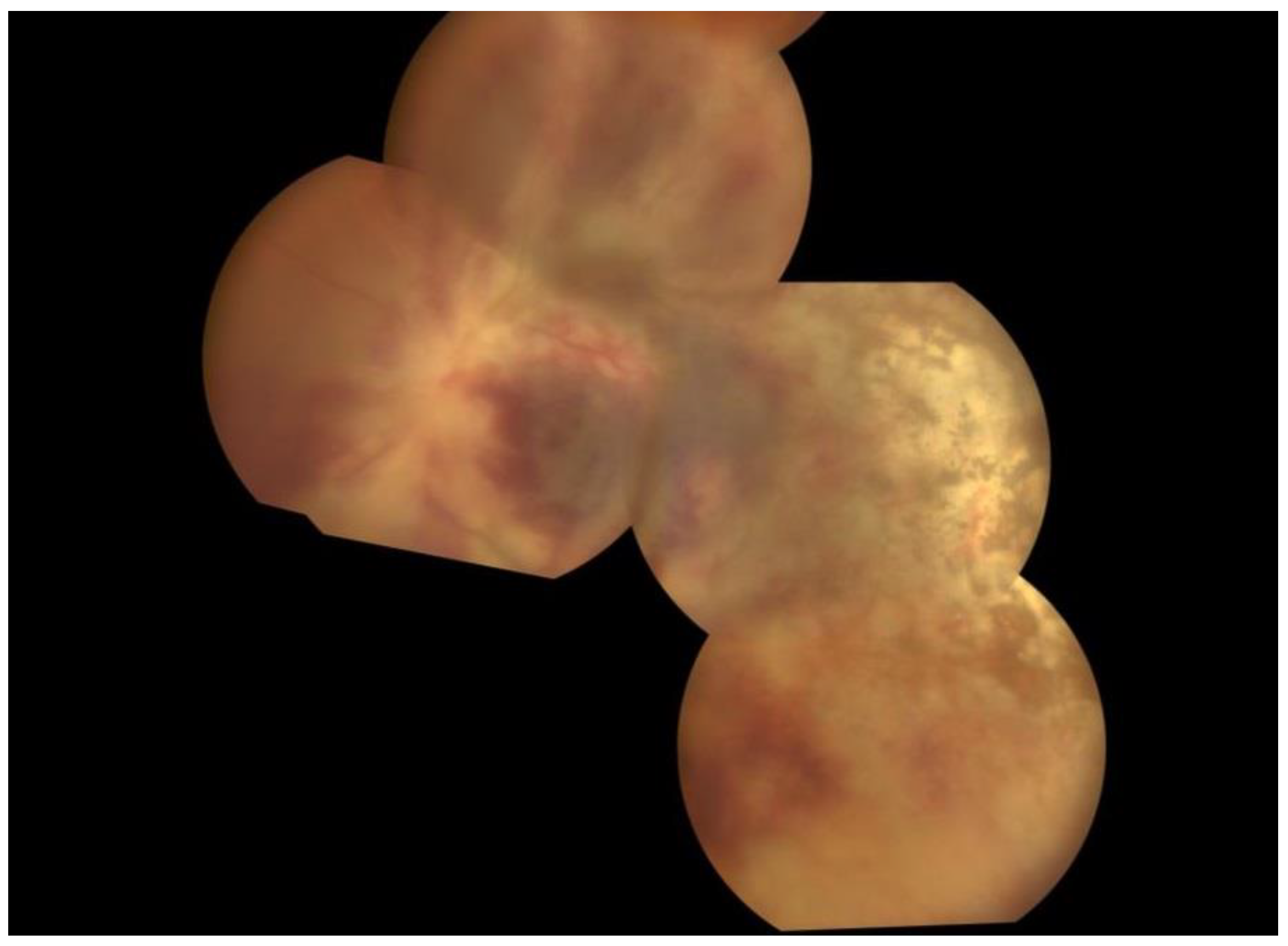 Pathogens 13 00938 g003