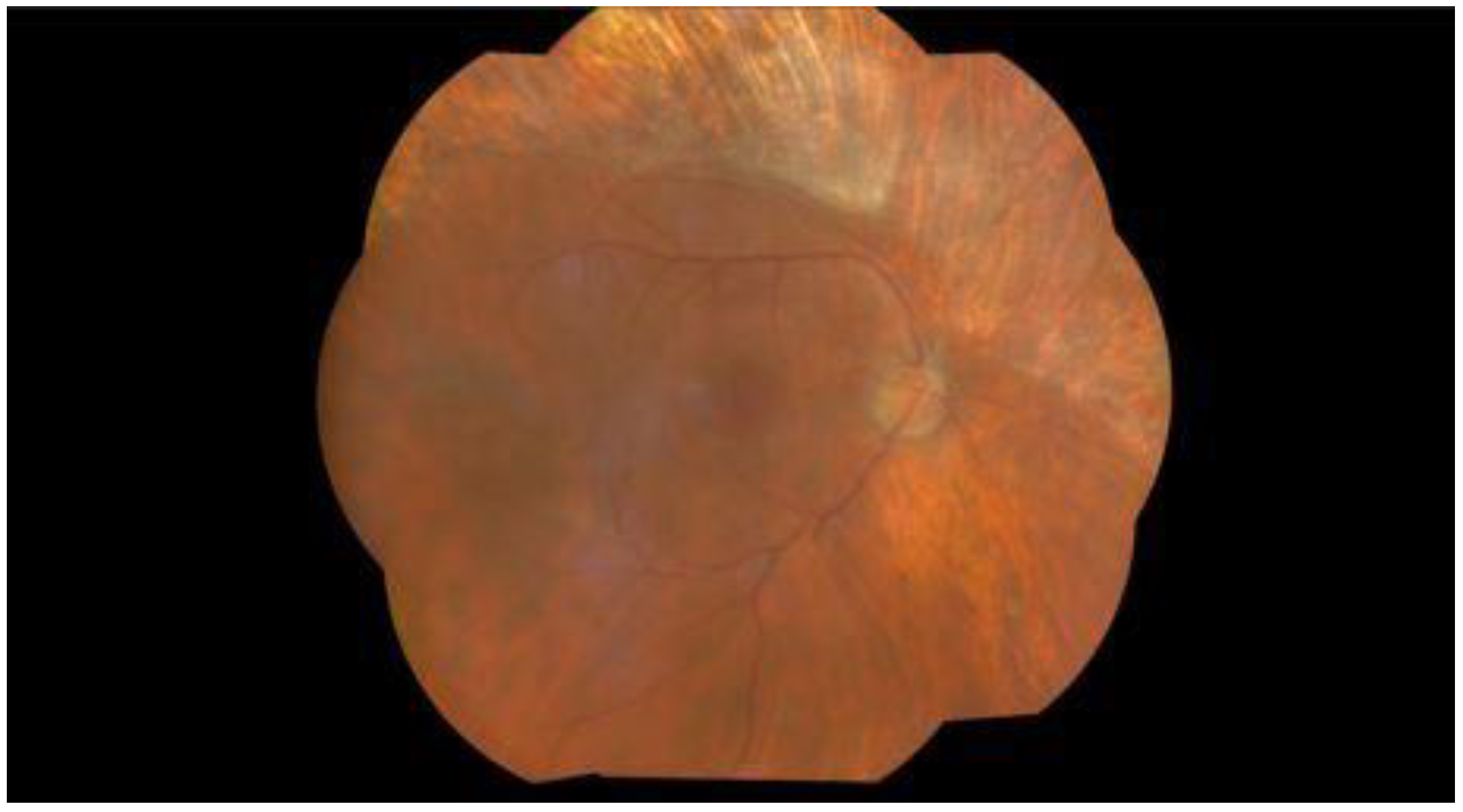 Pathogens 13 00938 g004