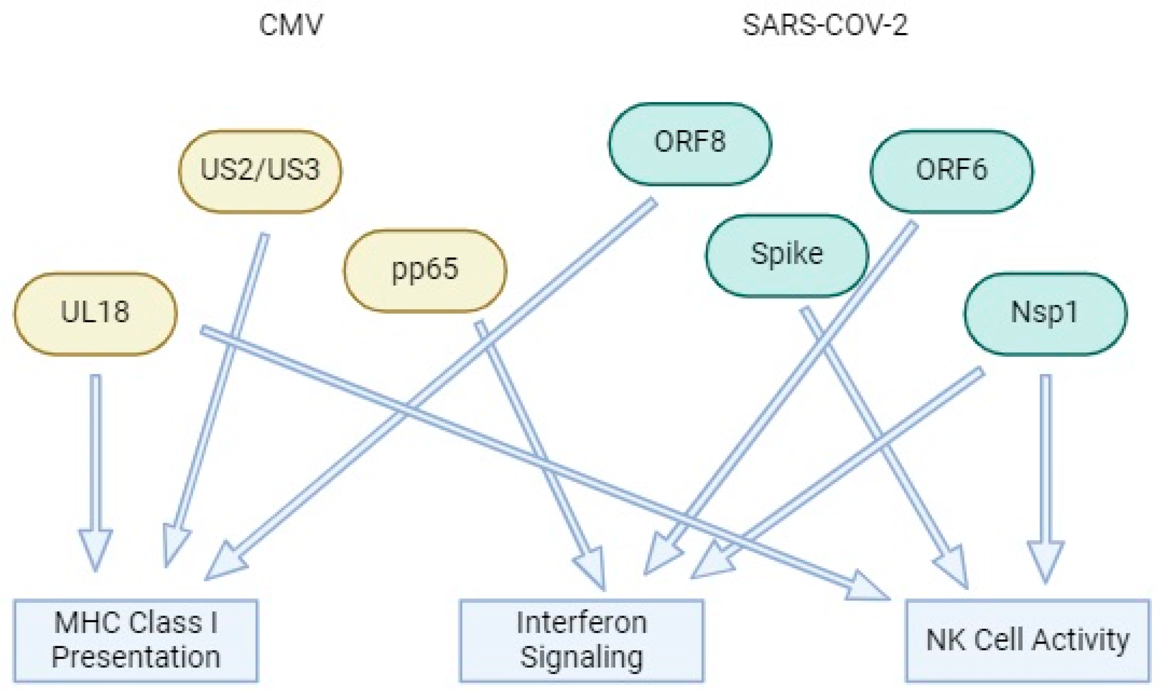 Pathogens 13 00938 g006