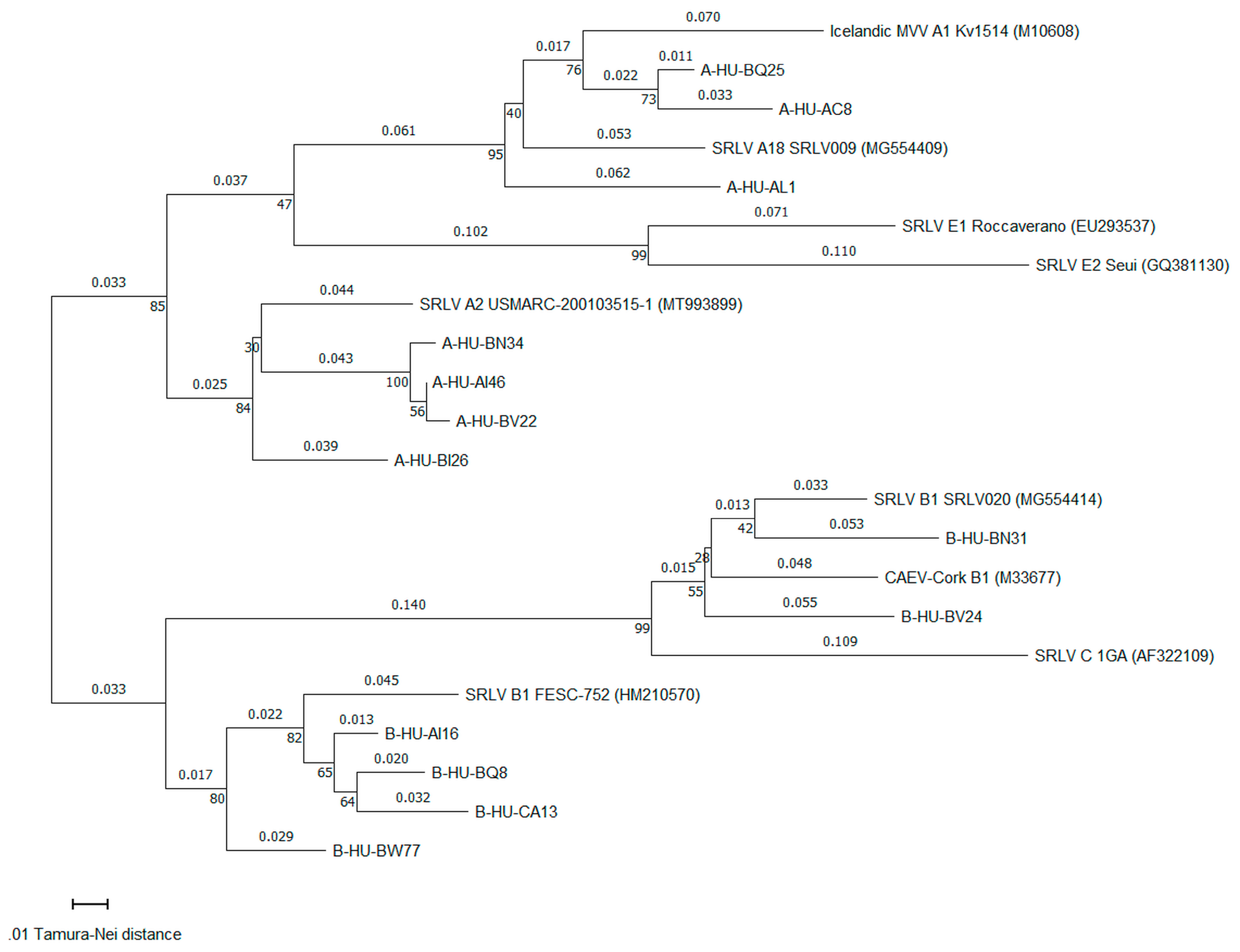 Pathogens 13 00939 g003