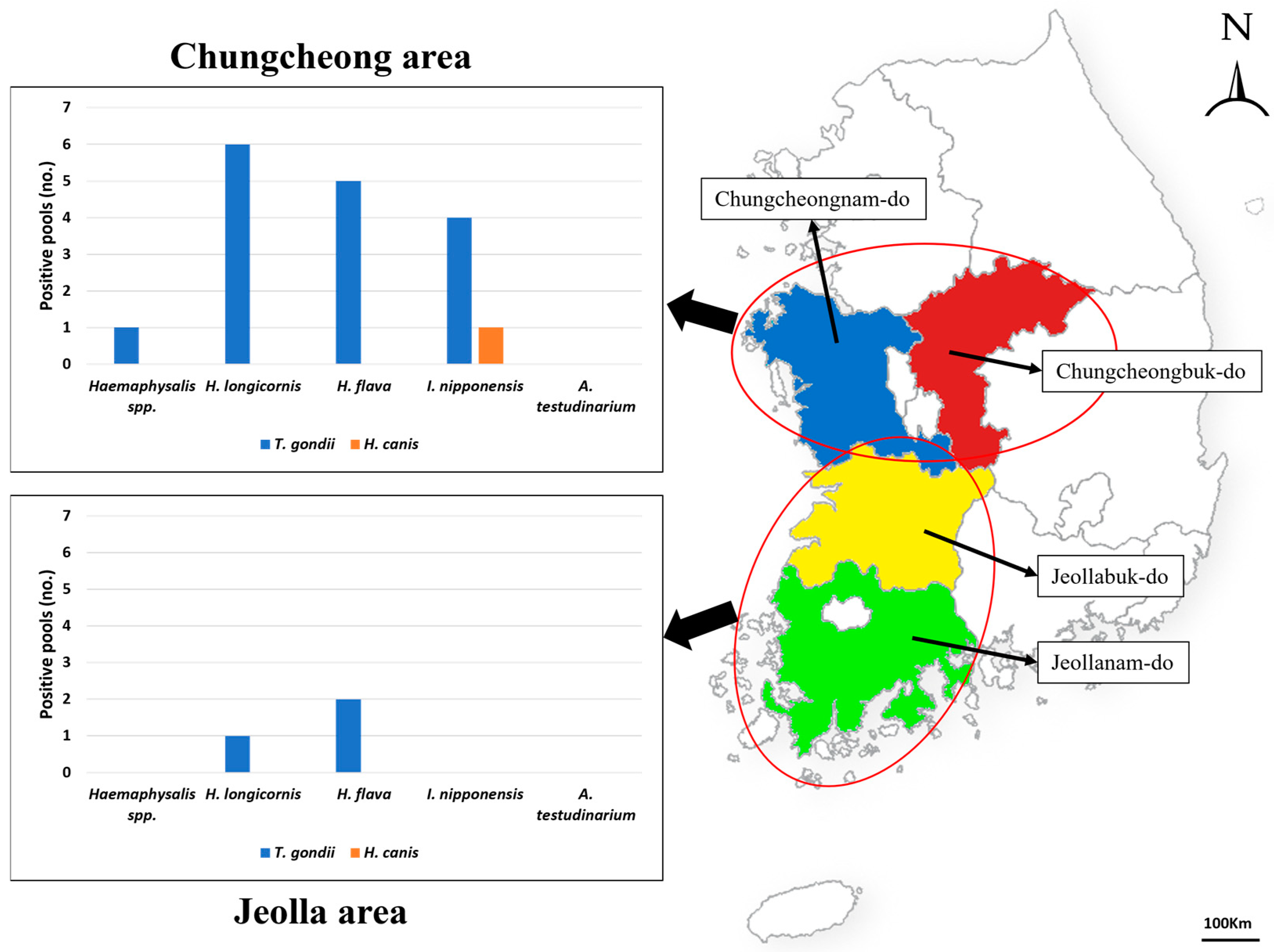 Pathogens 13 00941 g001