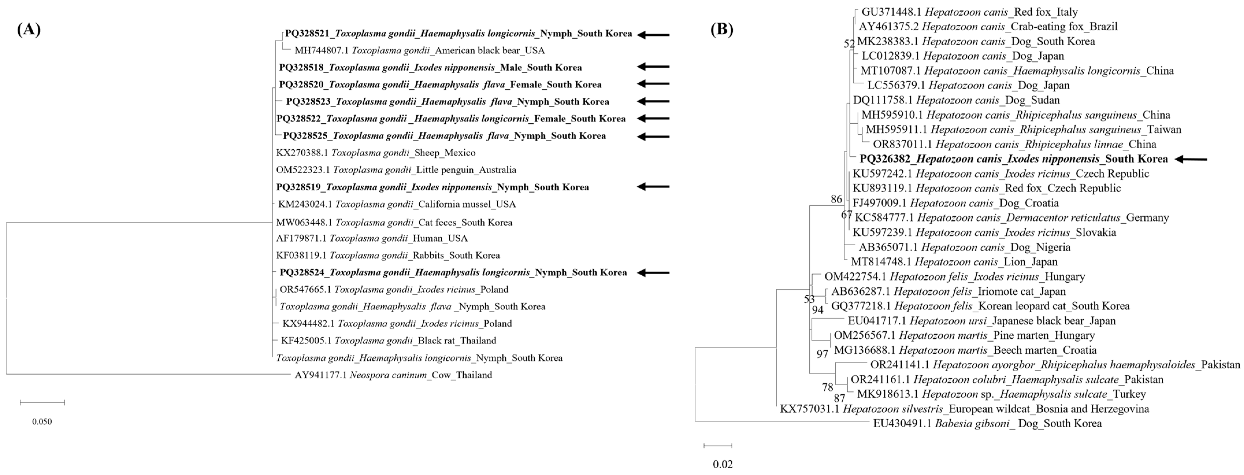 Pathogens 13 00941 g003