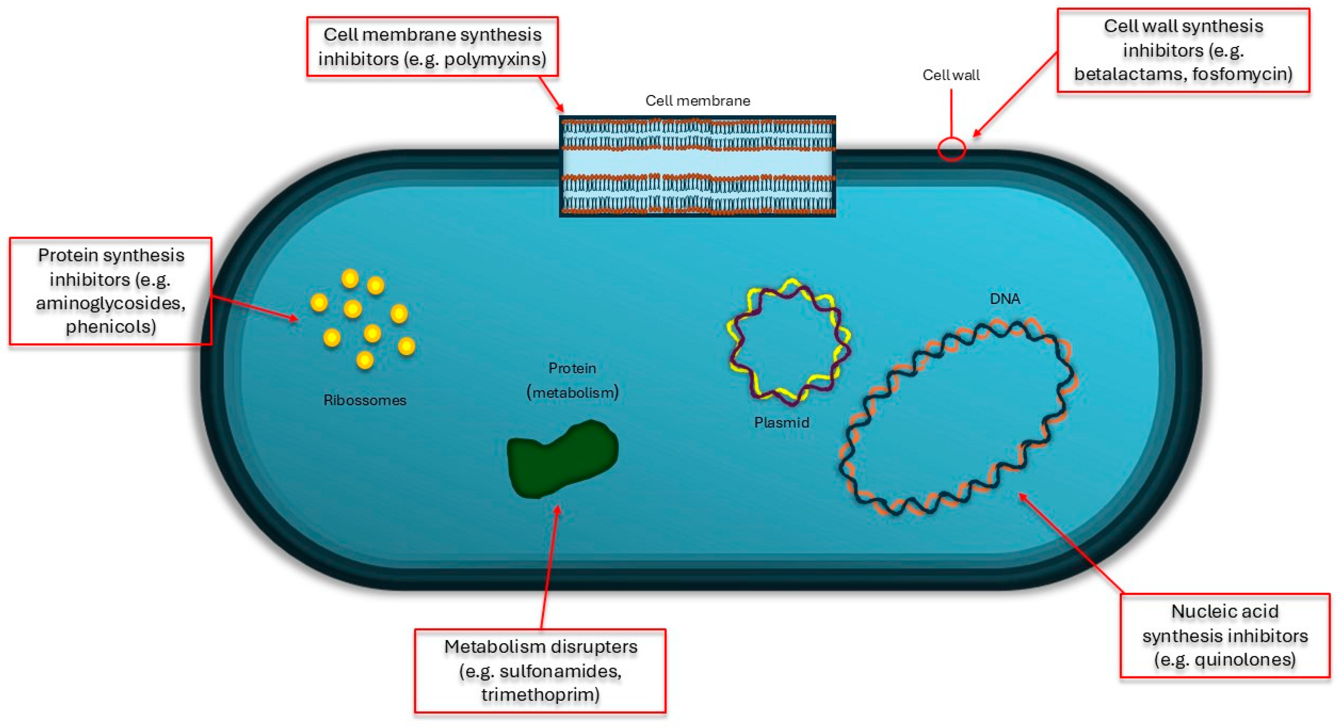 Pathogens 13 00945 g001