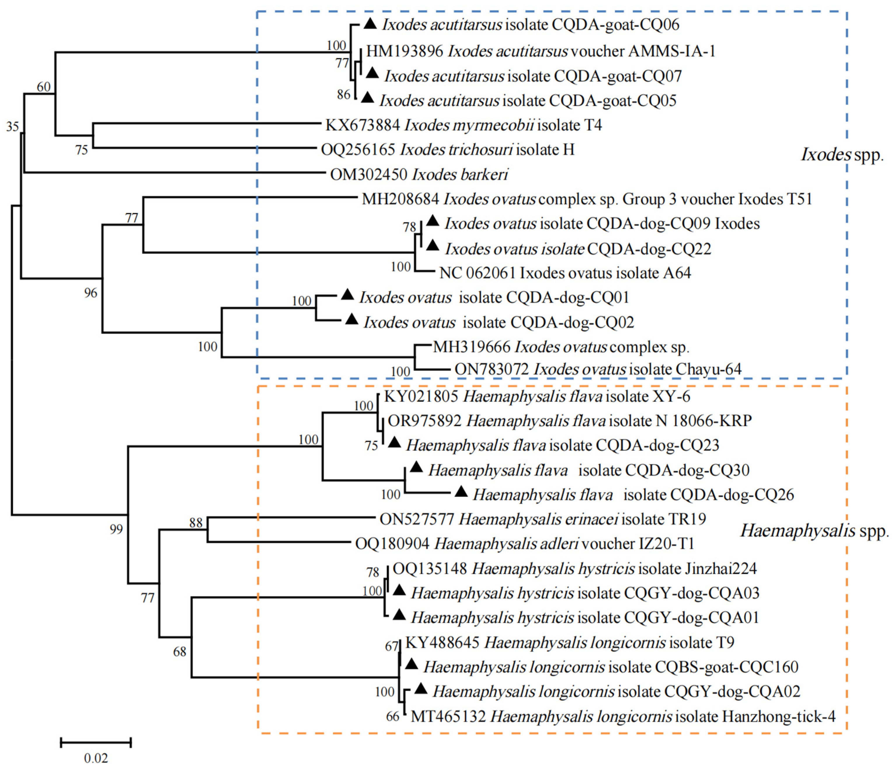 Pathogens 13 00948 g002 Pathogens 13 00948 g002