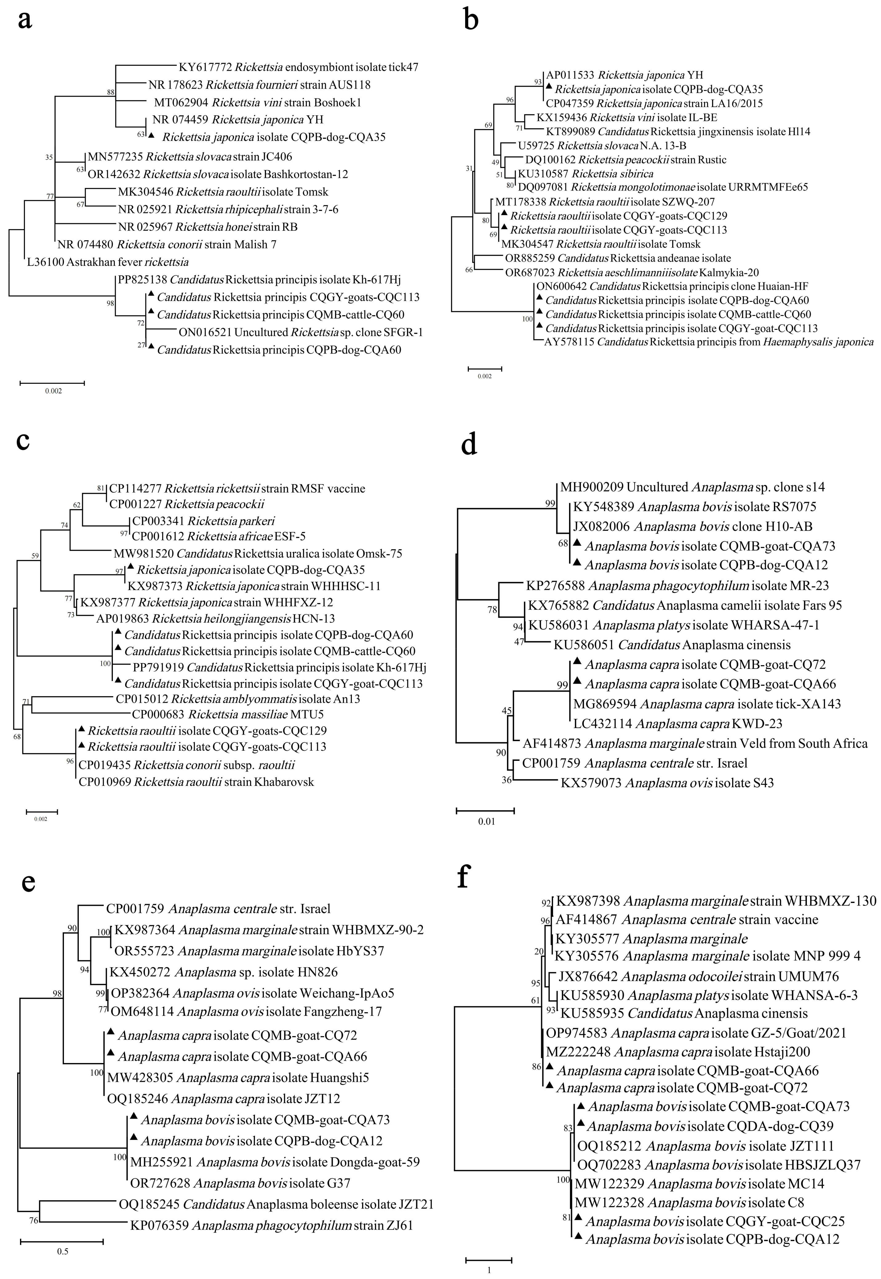 Pathogens 13 00948 g003 Pathogens 13 00948 g003