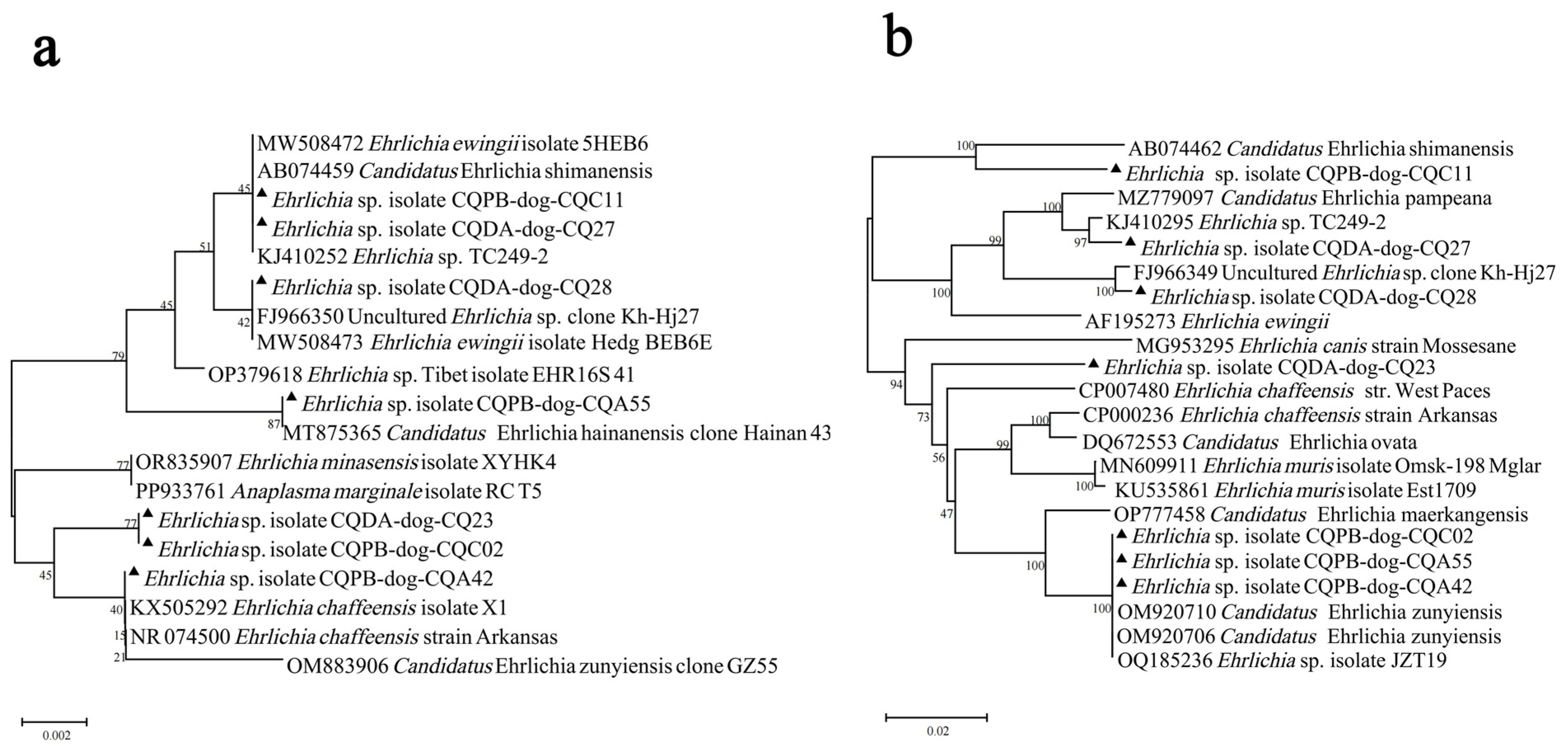 Pathogens 13 00948 g004 Pathogens 13 00948 g004