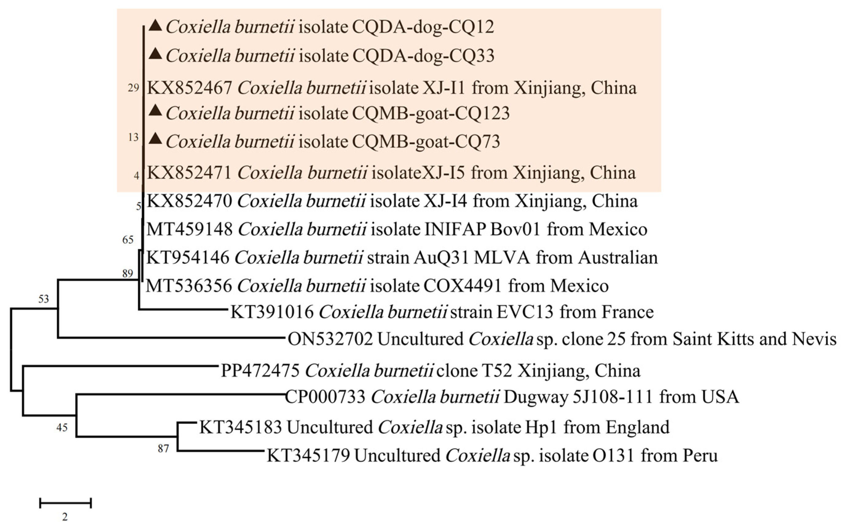 Pathogens 13 00948 g005 Pathogens 13 00948 g005