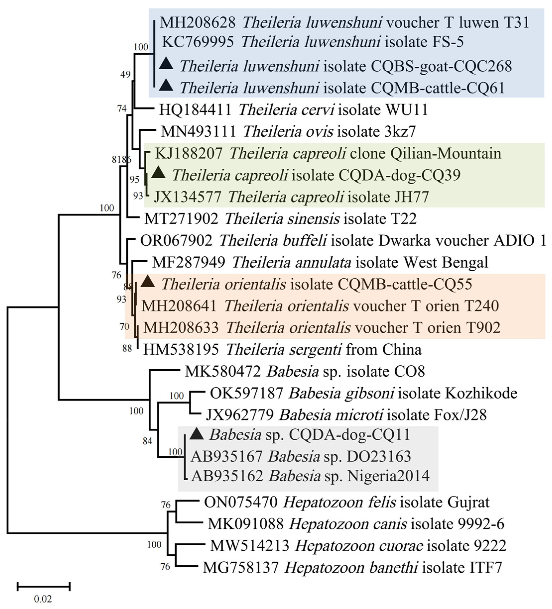 Pathogens 13 00948 g006 Pathogens 13 00948 g006