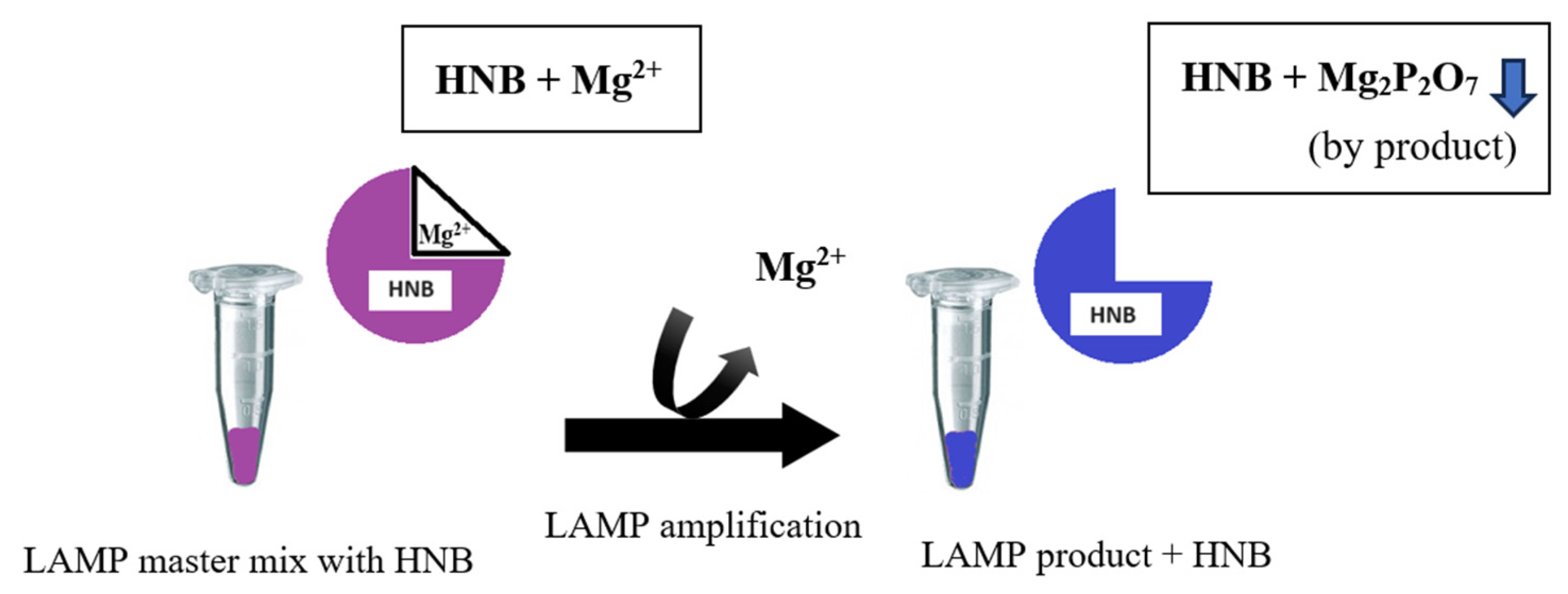 Pathogens 13 00949 g001