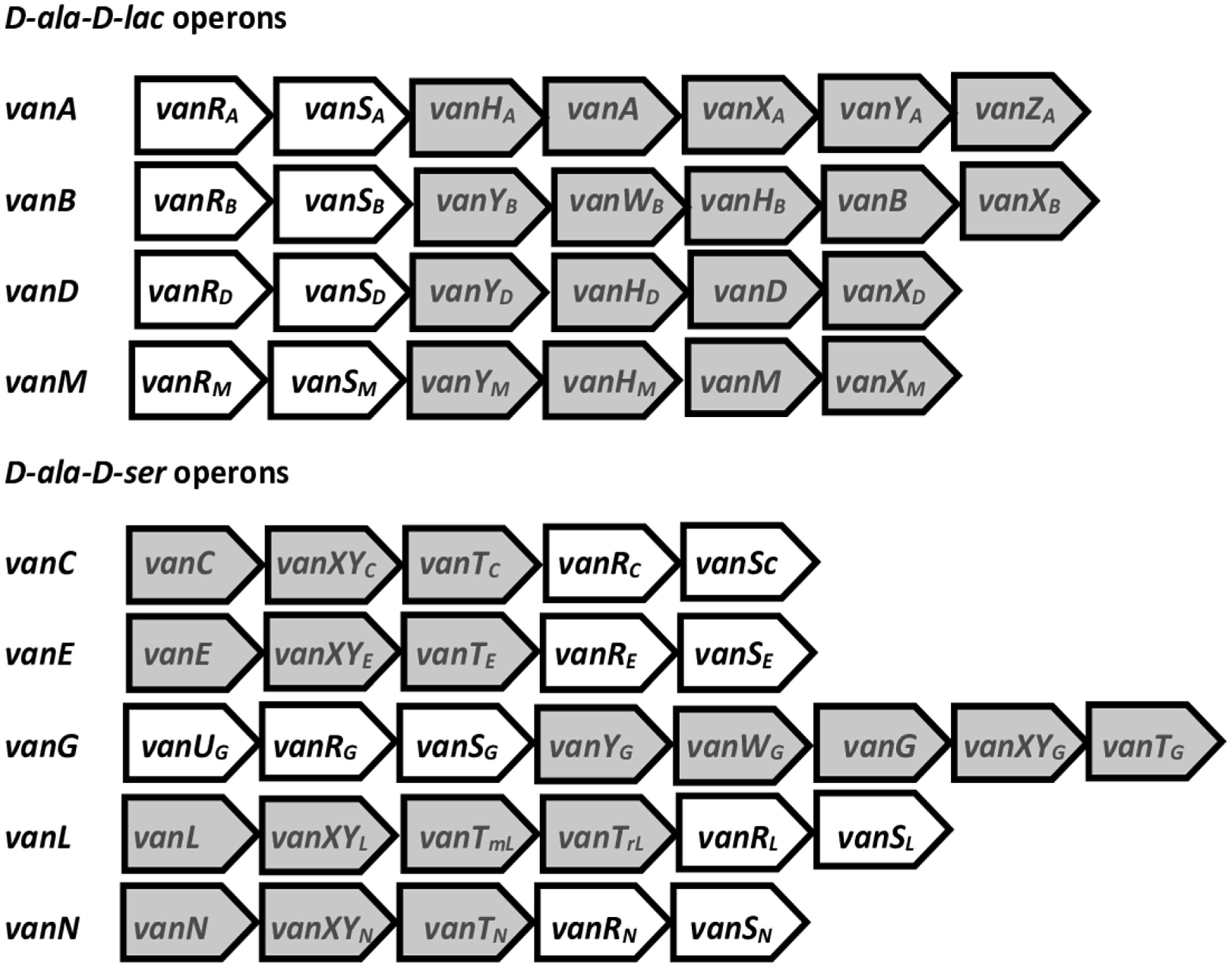 Pathogens 13 00966 g001