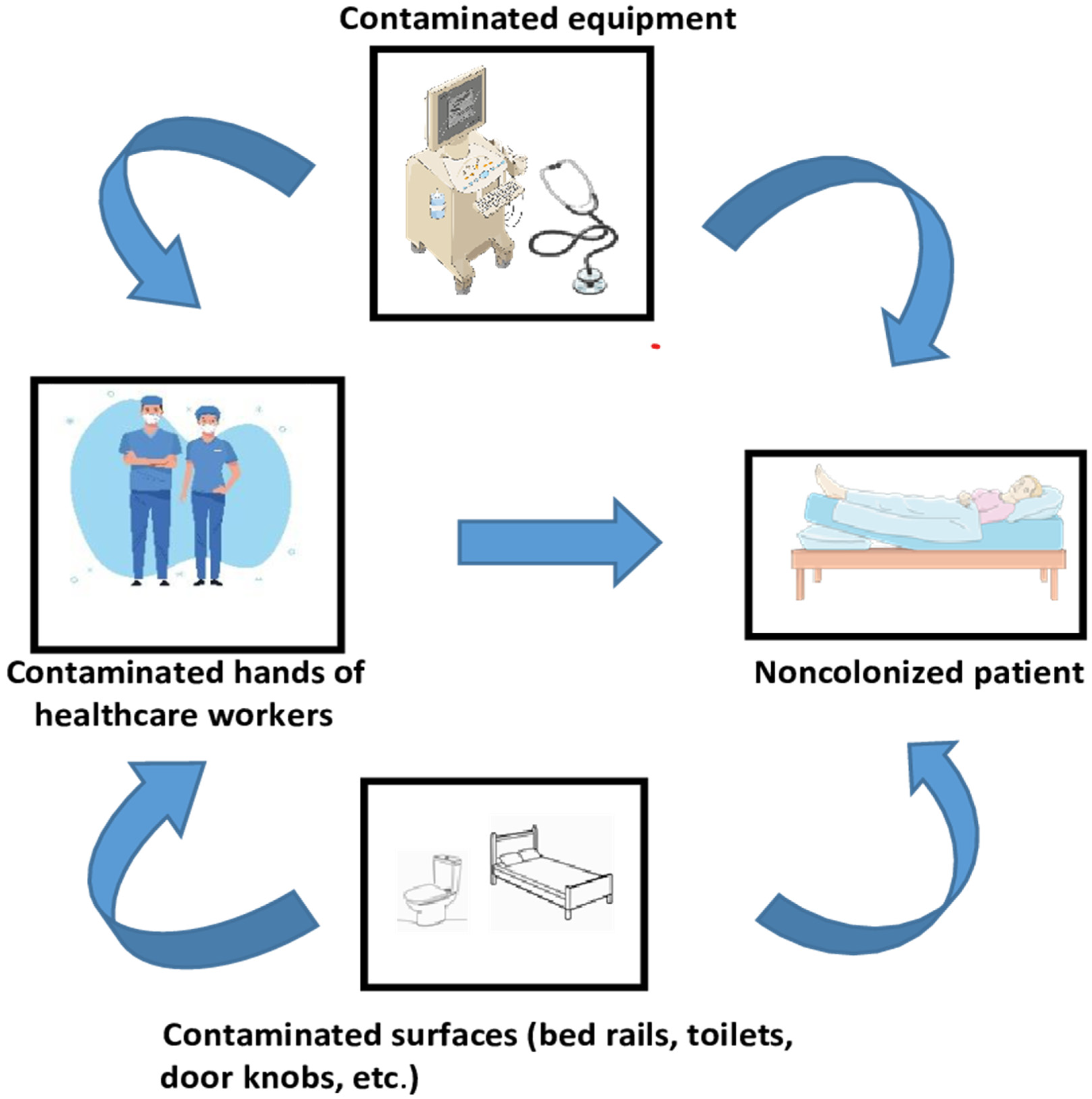 Pathogens 13 00966 g002