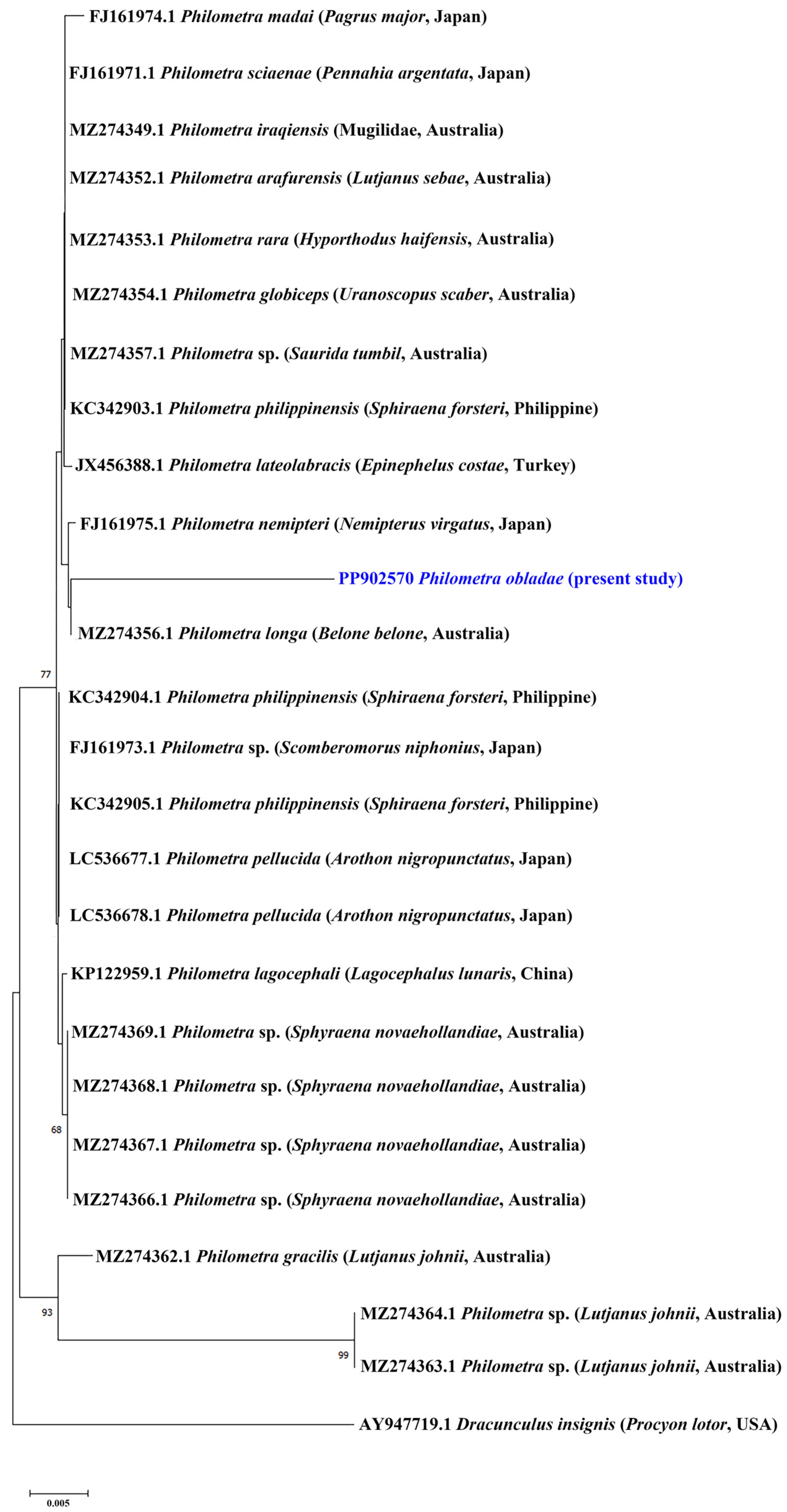 Pathogens 13 00971 g001 Pathogens 13 00971 g001