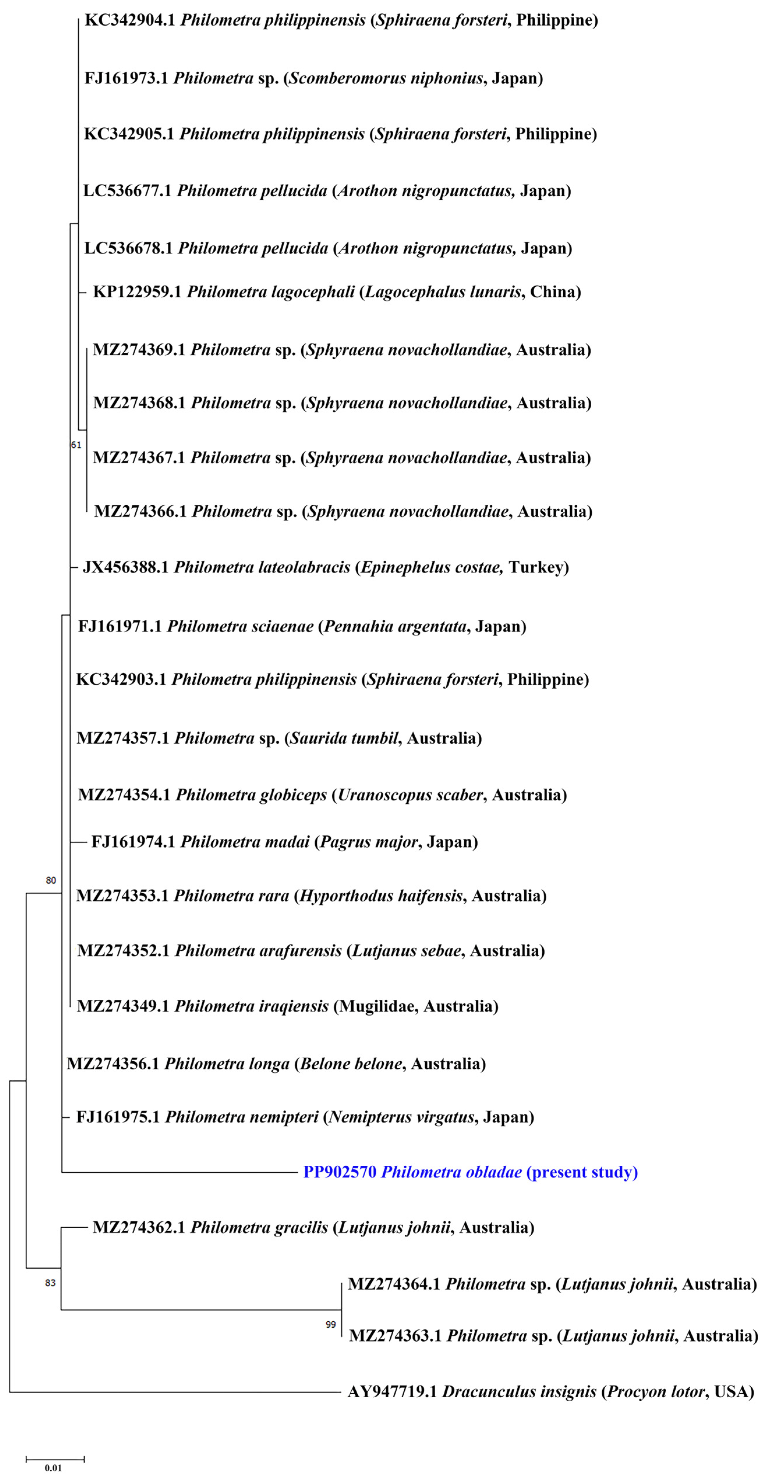 Pathogens 13 00971 g002 Pathogens 13 00971 g002