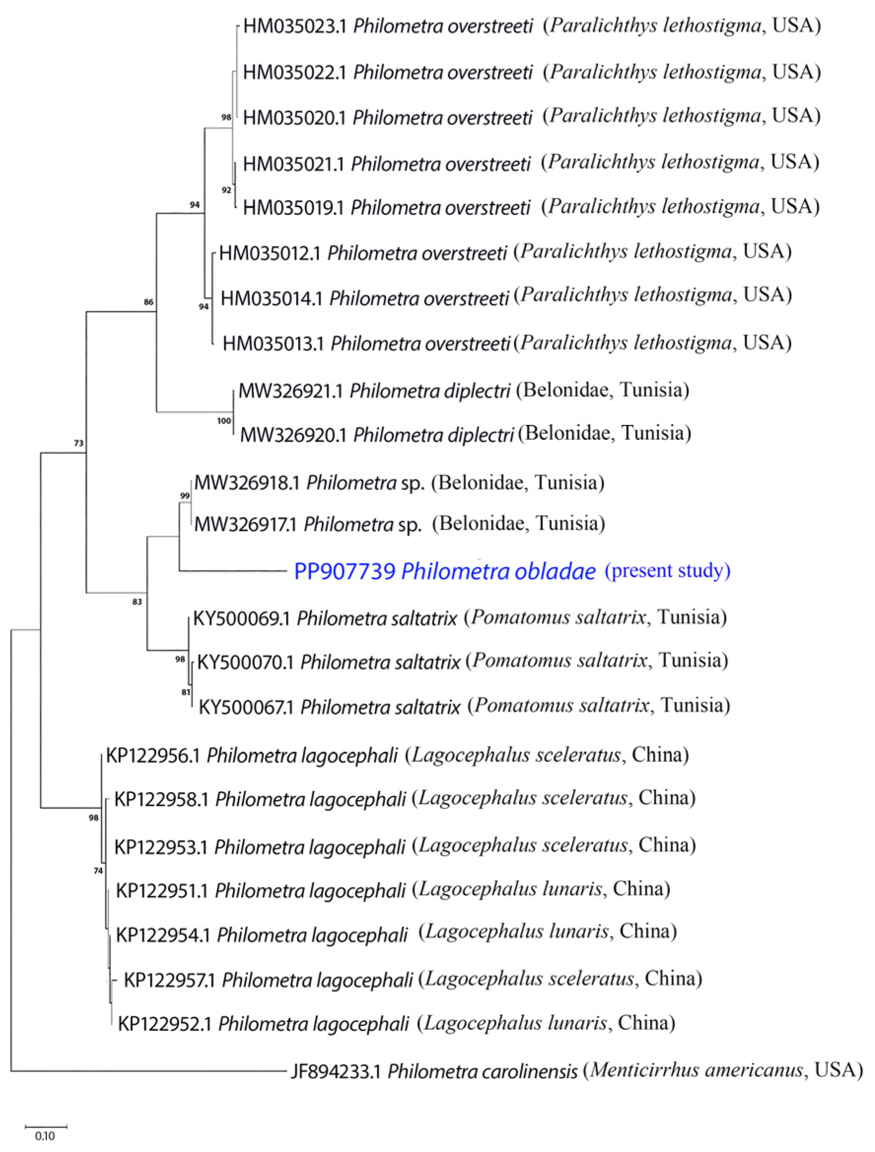 Pathogens 13 00971 g004 Pathogens 13 00971 g004