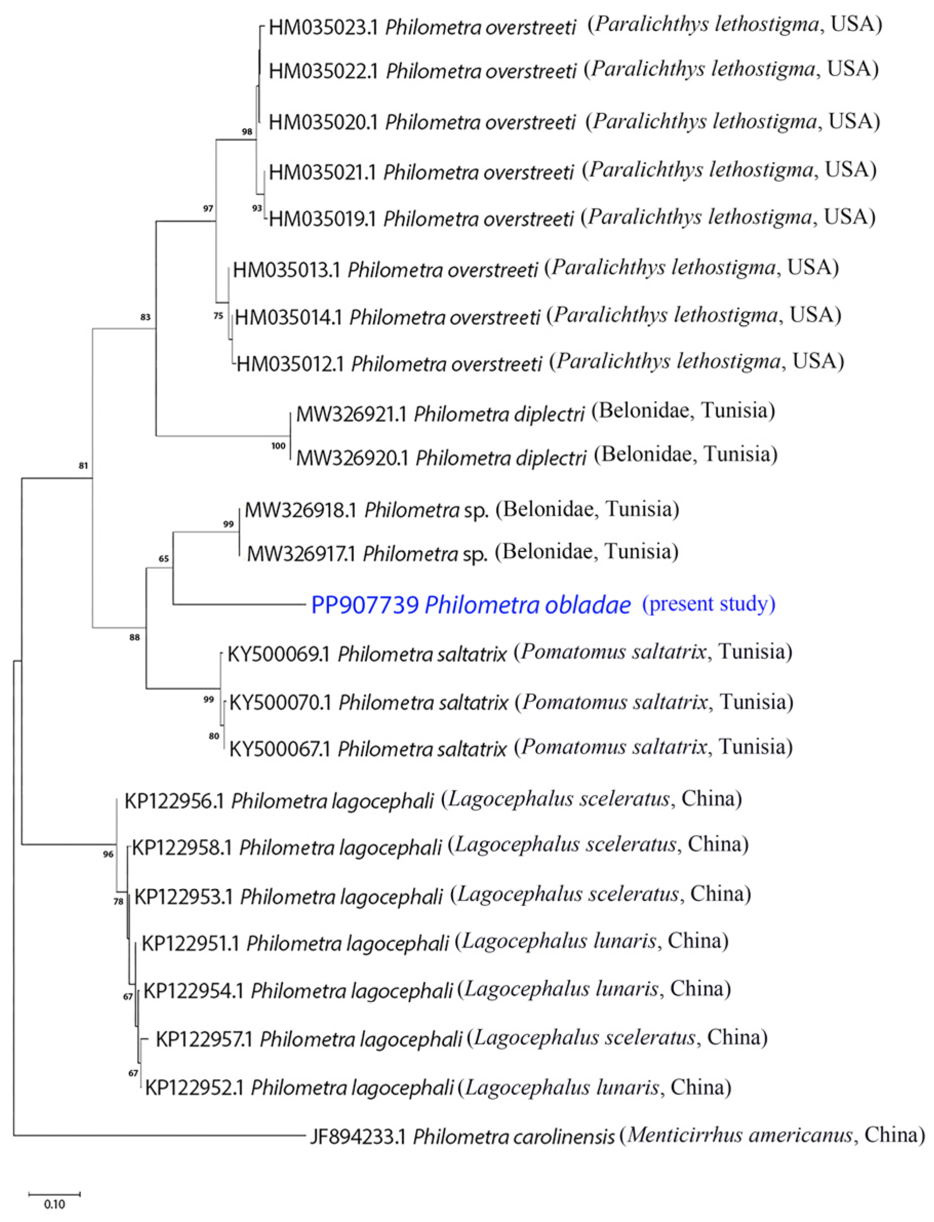 Pathogens 13 00971 g005 Pathogens 13 00971 g005