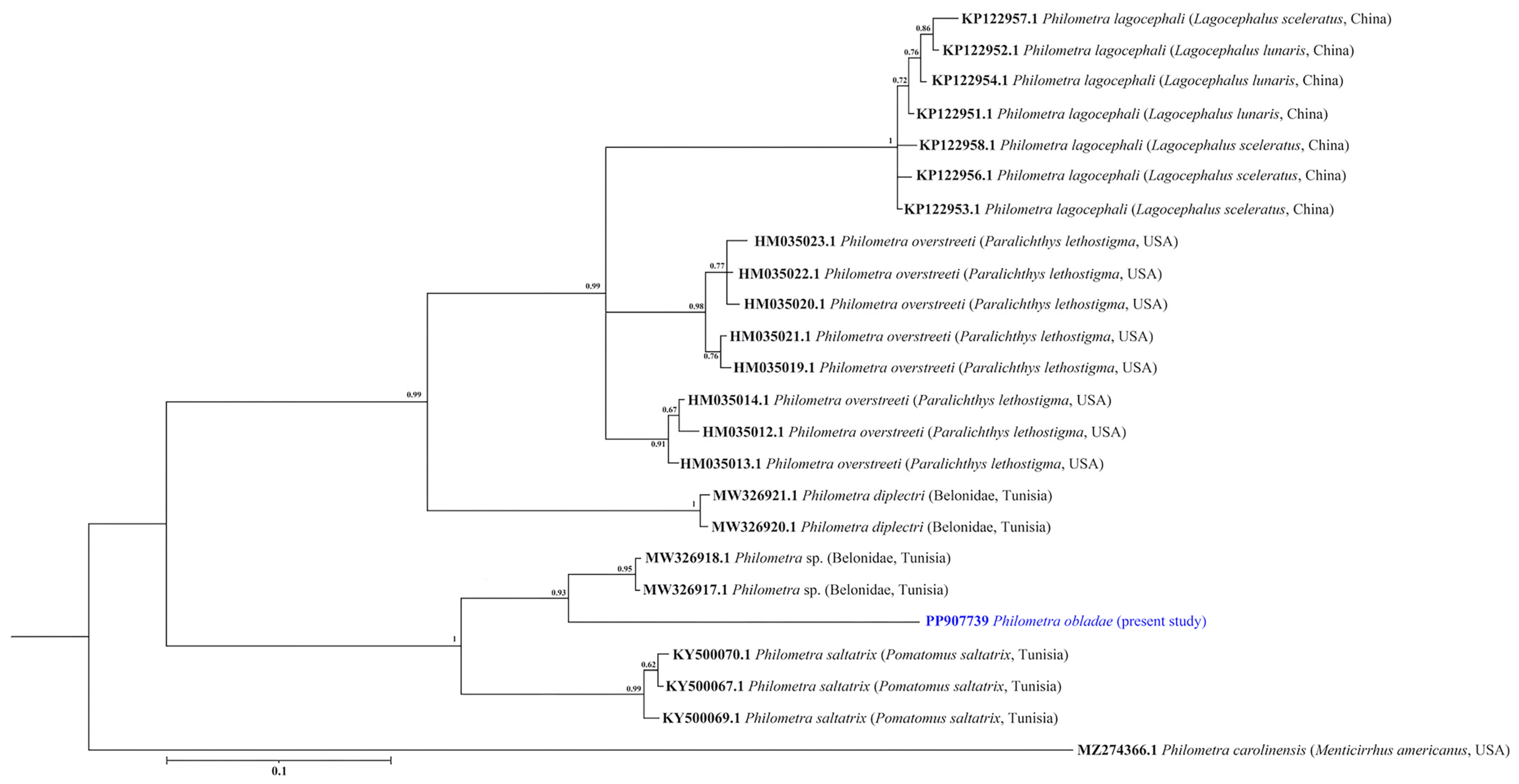 Pathogens 13 00971 g006 Pathogens 13 00971 g006