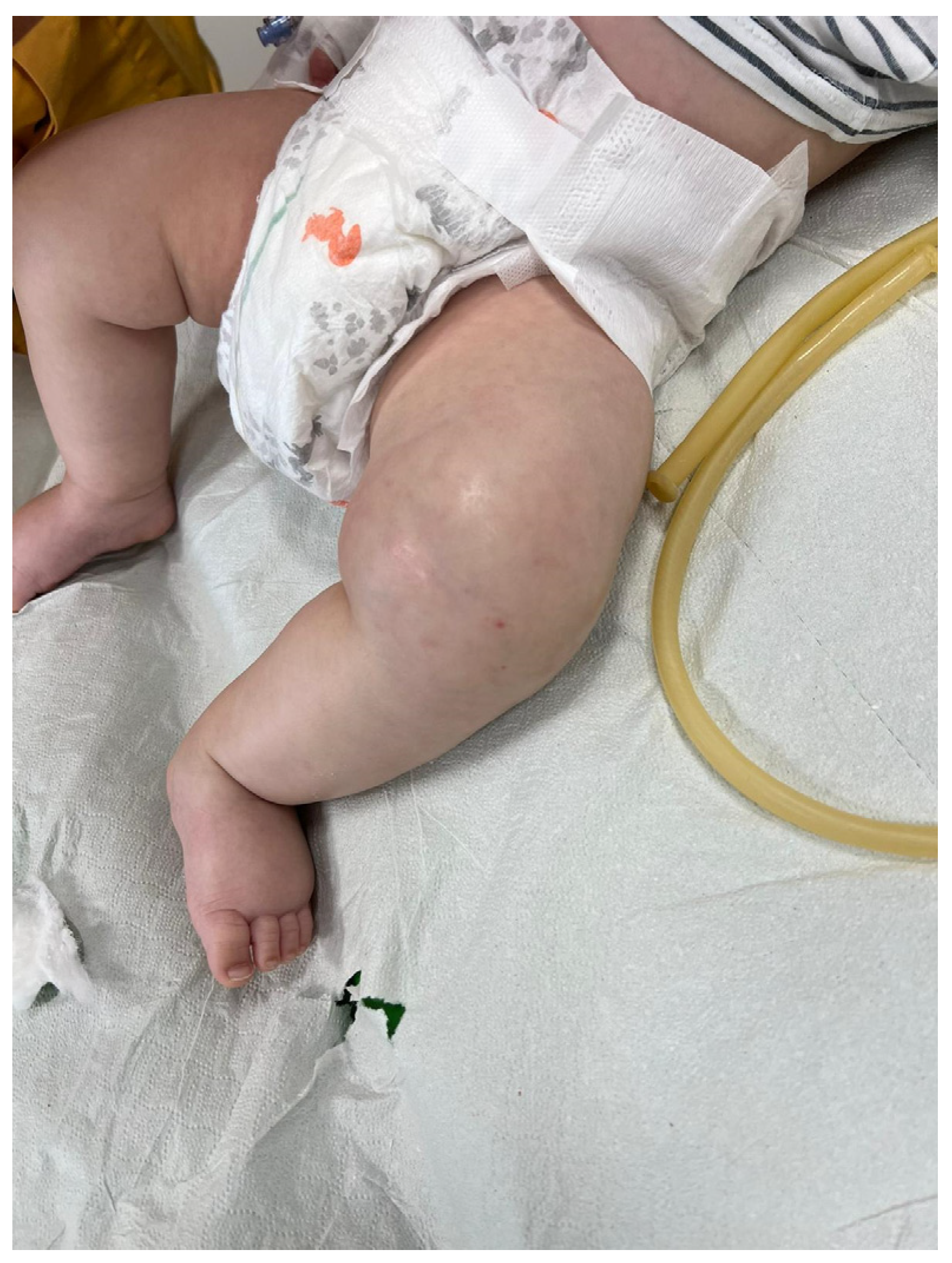 Pathogens 13 00972 g001